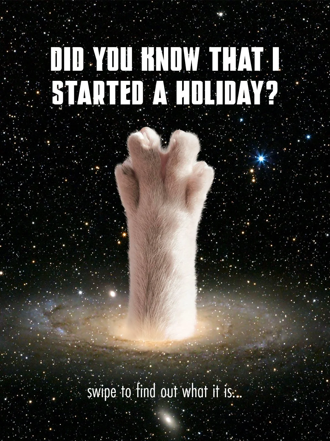 Live Long &amp; Prosper Day is tomorrow! 🖖 You know those silly holidays that pop up in your feed and appear on the news every once and a while? Well, I&rsquo;ve always loved those... and in 2017 while doing an illustration project around those &ldq