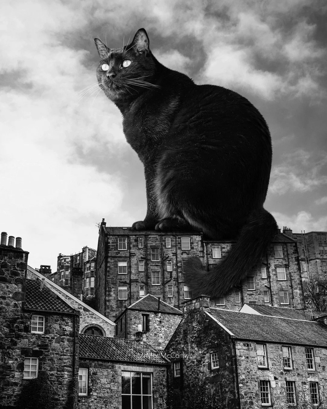 Black and White Edinburgh... or should I say Edinpurrgh? 🏴󠁧󠁢󠁳󠁣󠁴󠁿 I&rsquo;ve actually made quite a few pieces set in &ldquo;Auld Reekie.&rdquo; Which of these five is your favorite?