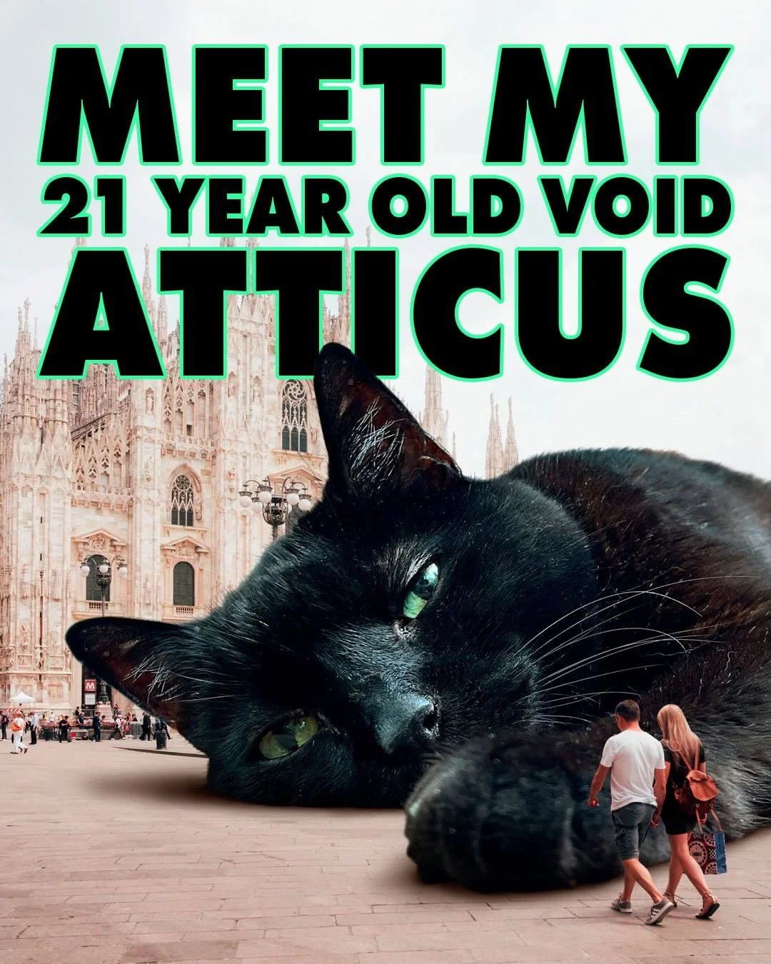 It&rsquo;s Atticus! 🐈&zwj;⬛ Our senior void had a very popular reel yesterday, so I figured I&rsquo;d reintroduce him for anyone new here. 

I get a lot of questions about how you get your cat to live to be a super senior. Our vet says it&rsquo;s &l