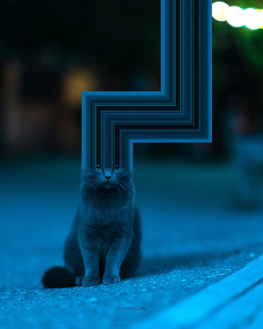 Warp Cats 🌈 Which of these is your favorite, 1-20?🌈 Since &ldquo;Pixel Stretching&rdquo; has become all the rage again, I figured I&rsquo;d share some new (and previous) Warp Cats from one of my most popular series. These are a fun departure from m