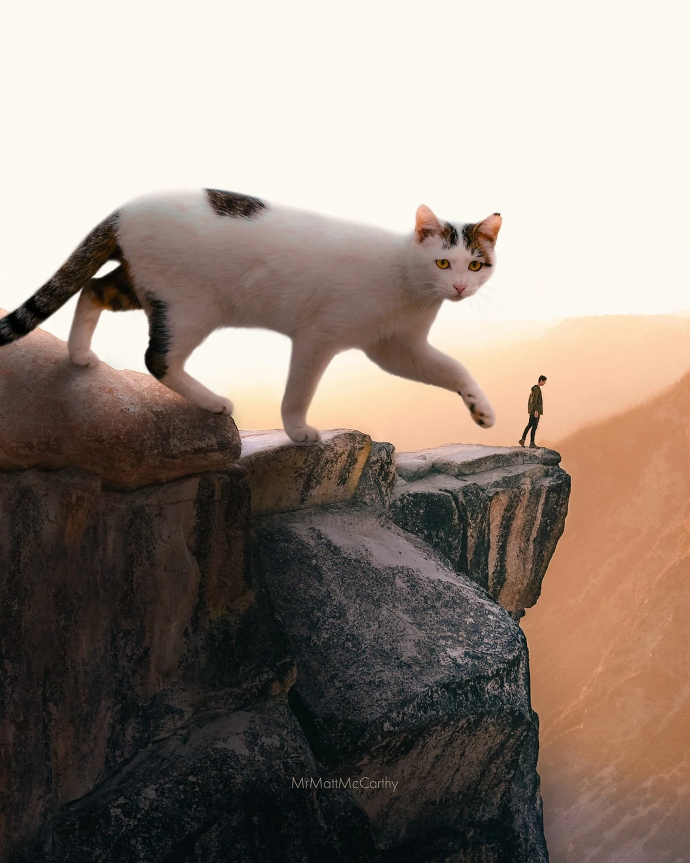 Don&rsquo;t Even Think About It, 2026 🫣 Inspired by the unsatisfiable feline urge to knock things off tables and counters.