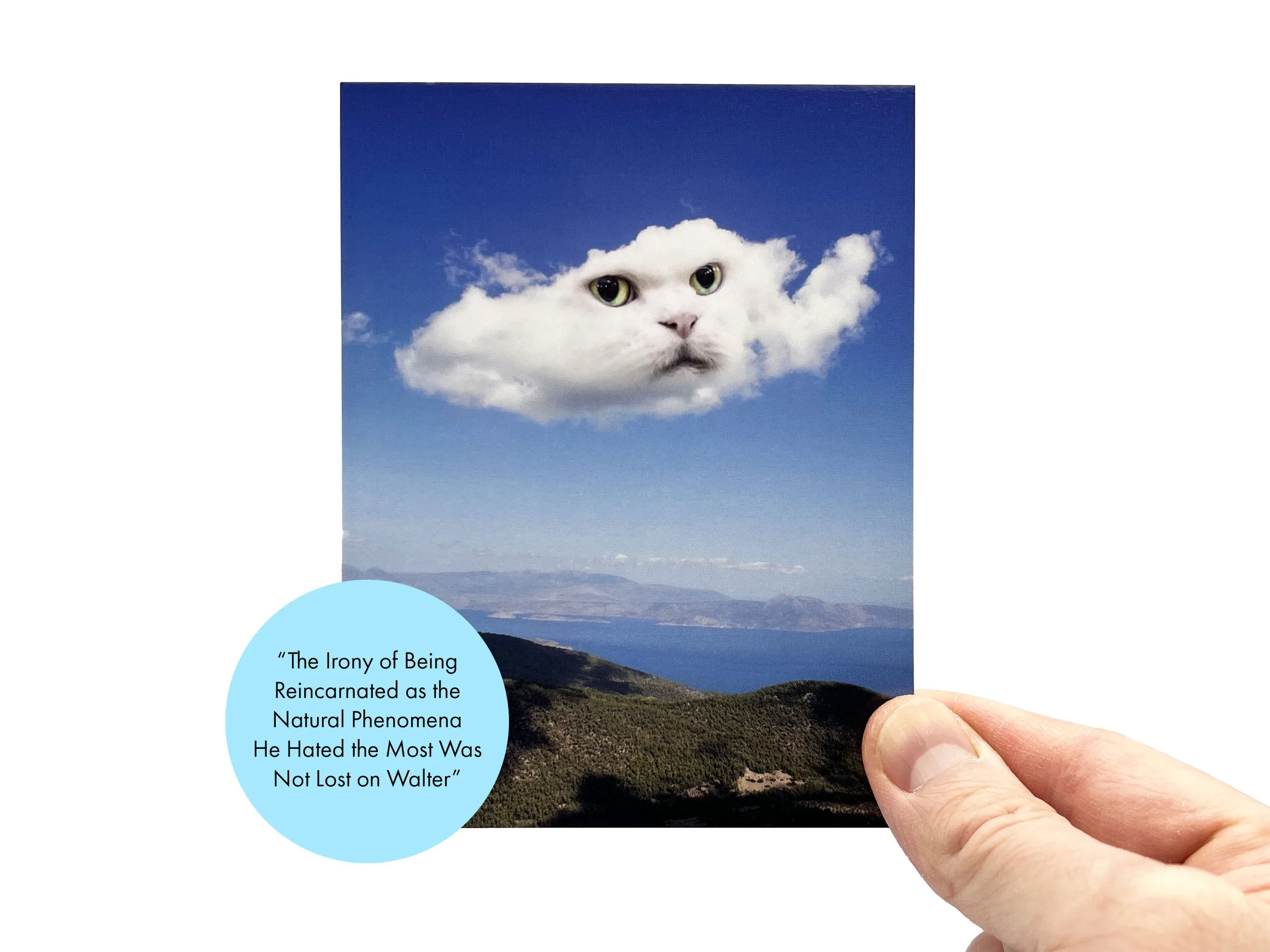 Cloud_Cats_Listing__0004_Walter copy.jpg