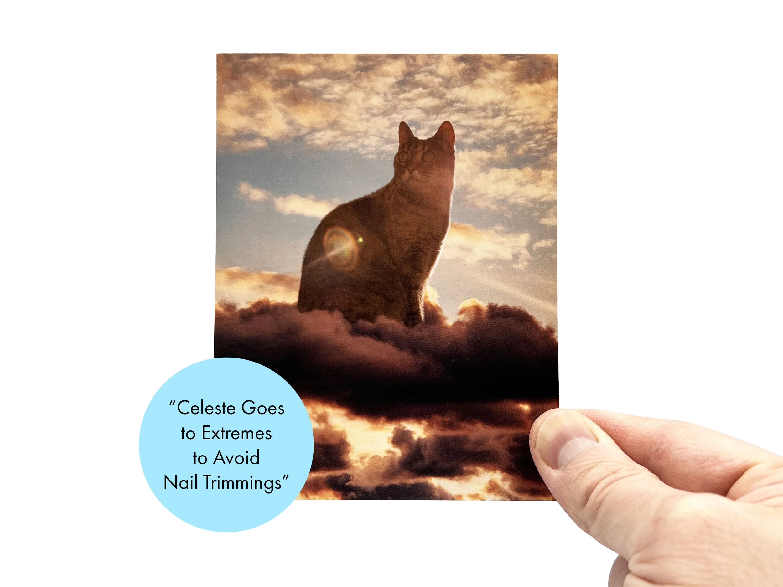 Cloud_Cats_Listing__0001_Sunset copy.jpg