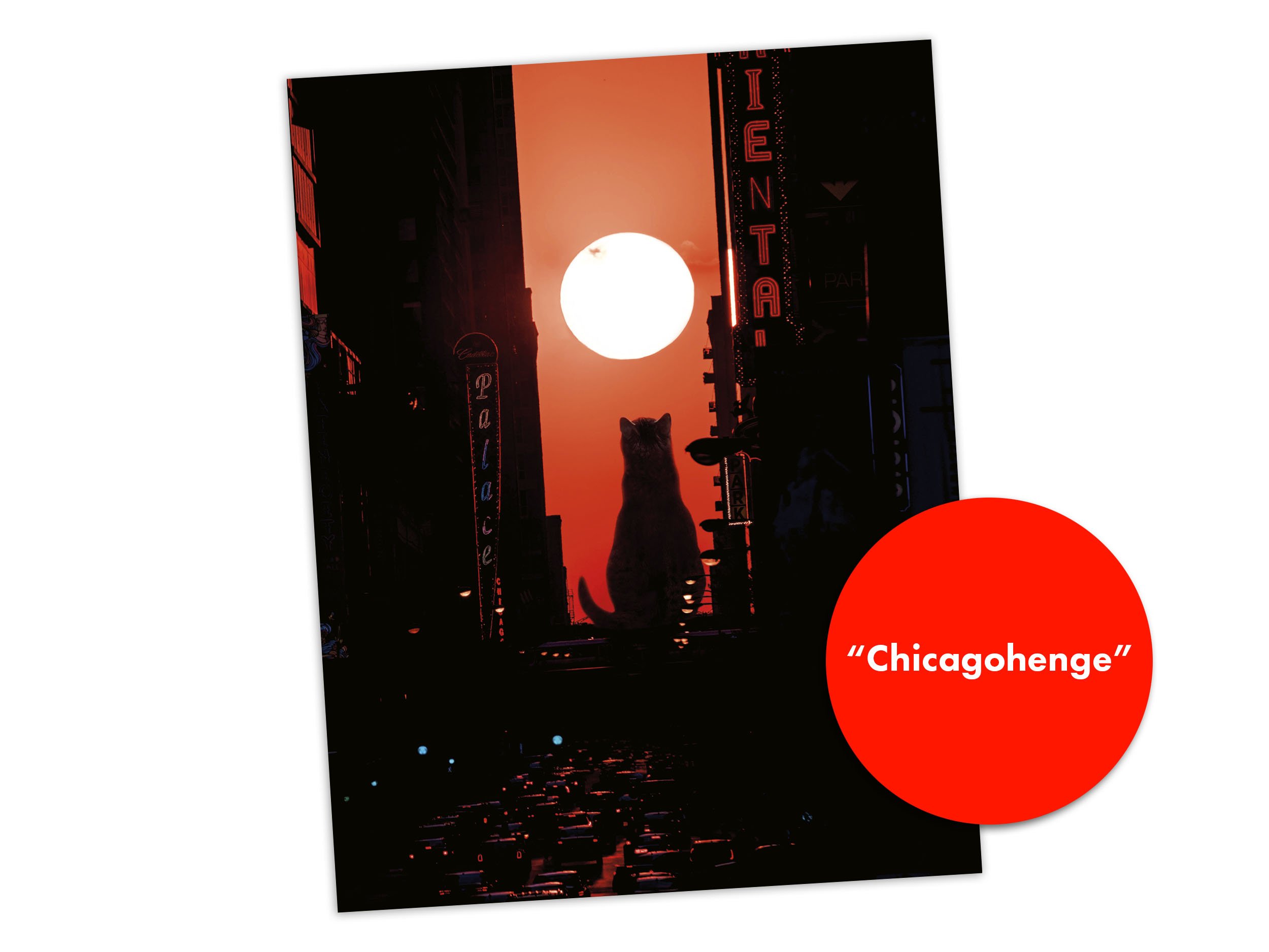 Chicagohenge - A cat looks on as the sun sets between buildings during Chicagohenge. Handmade digital collage from artist Matt McCarthy