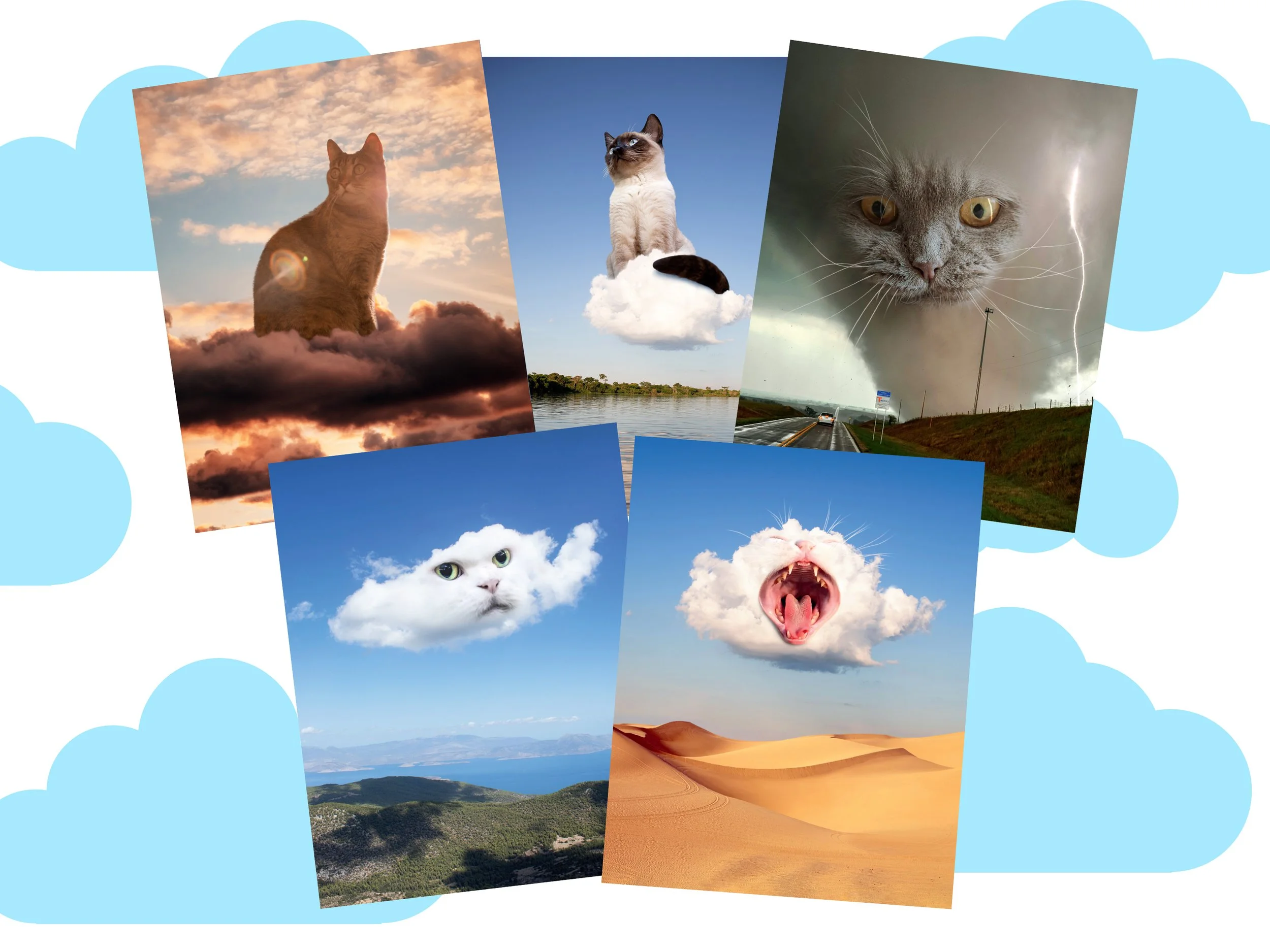 Cloud-Cats-Main-Listing.jpg