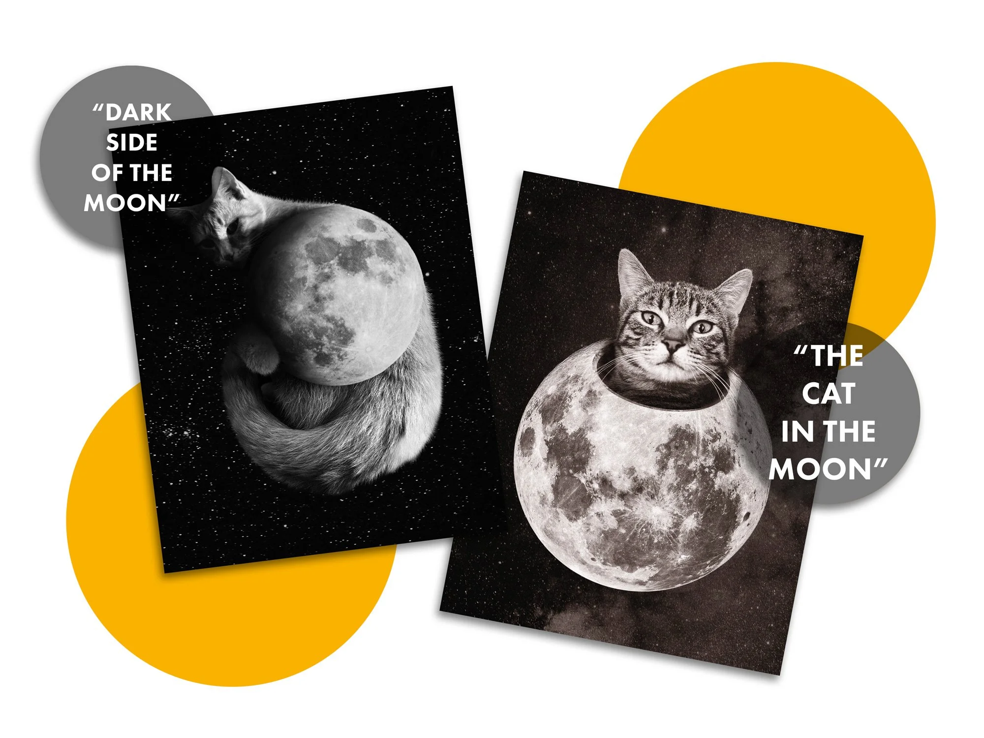 Full_Moon_Postcard_Listing_4.jpg