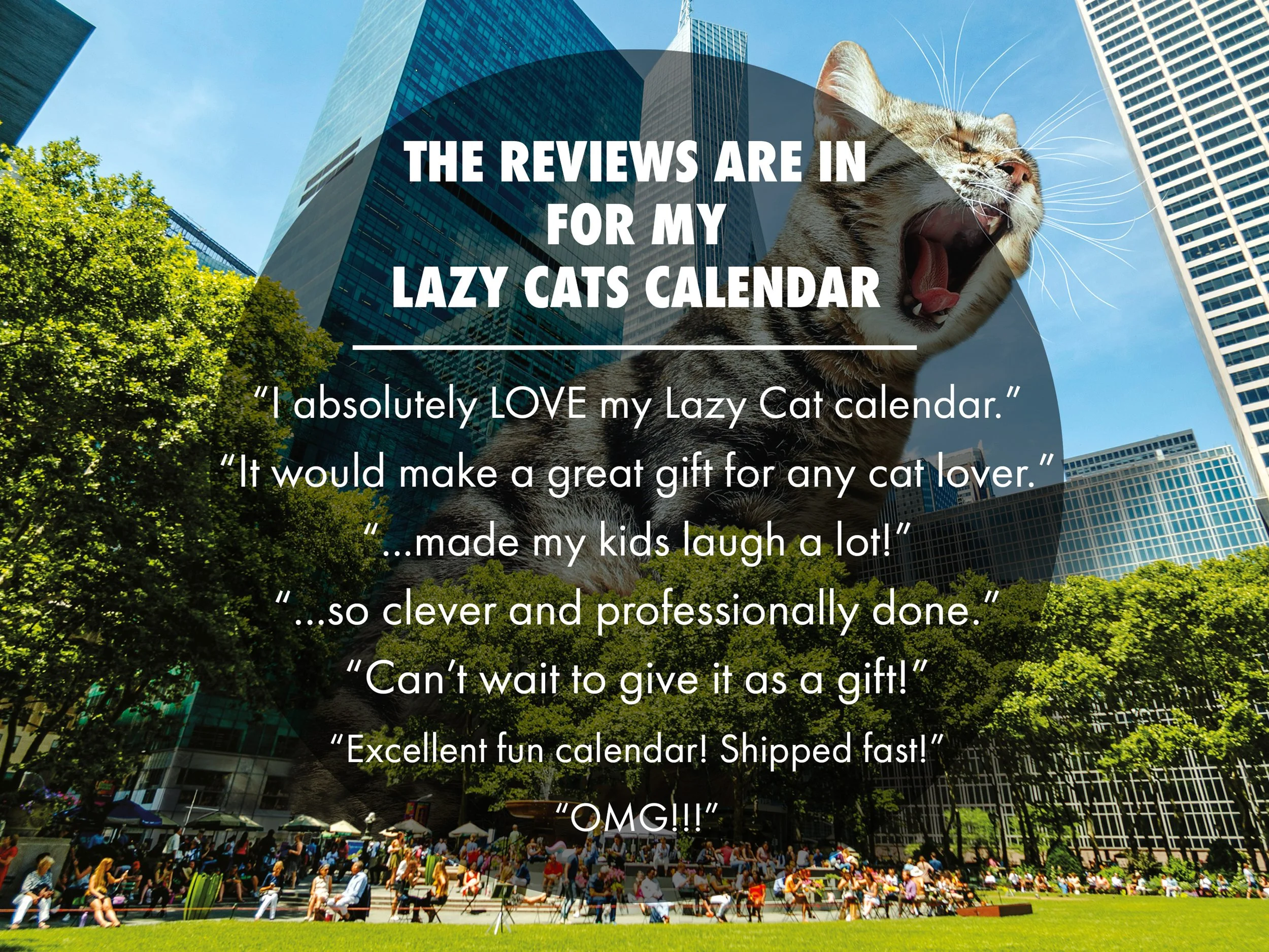 Lazy_Cats_2026_Listing_7.jpg (Copy)