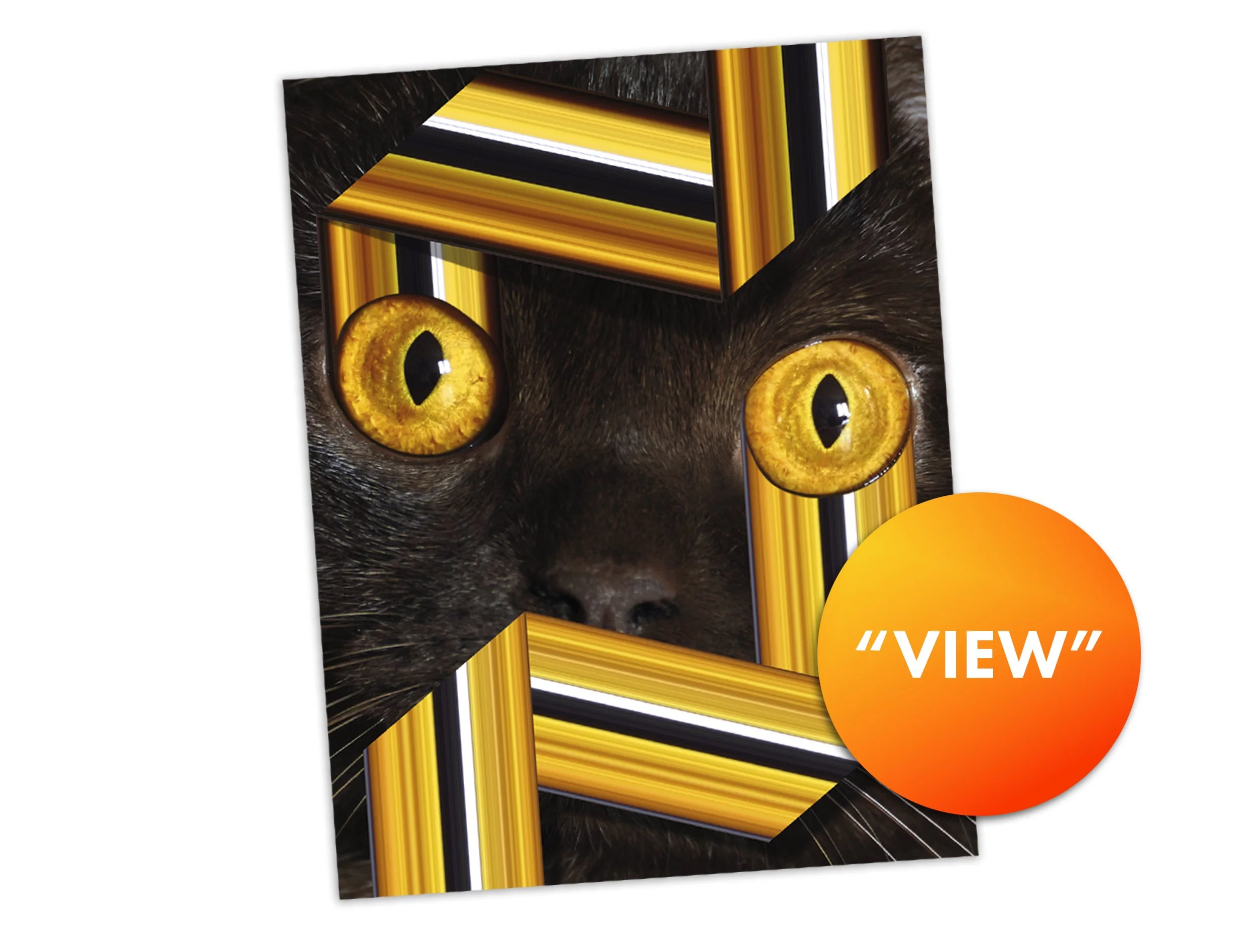 Warp Cats Postcards Listing WIP_0002_VIEW.jpg