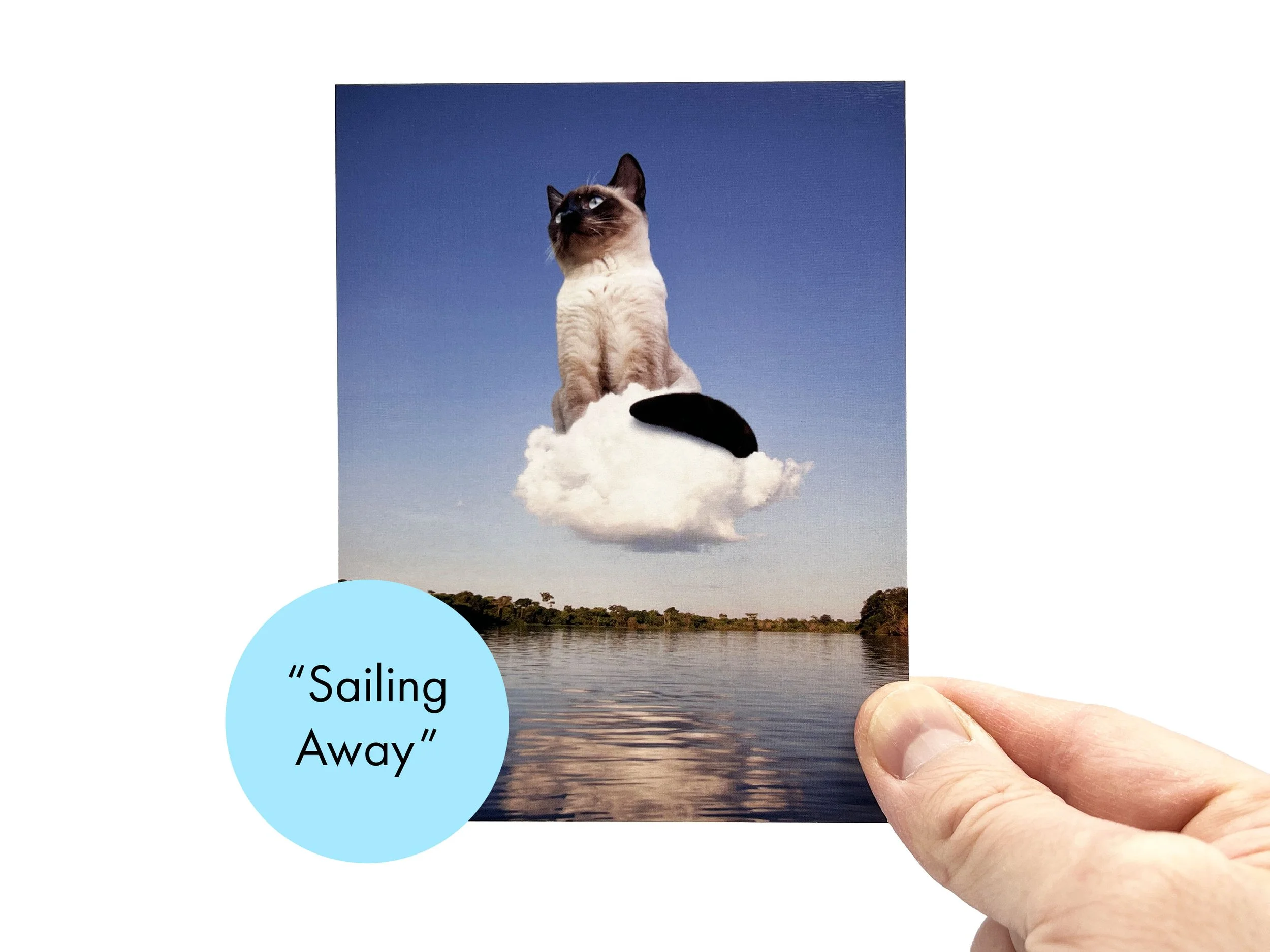 Cloud_Cats_Listing__0003_Cloud Ride copy.jpg