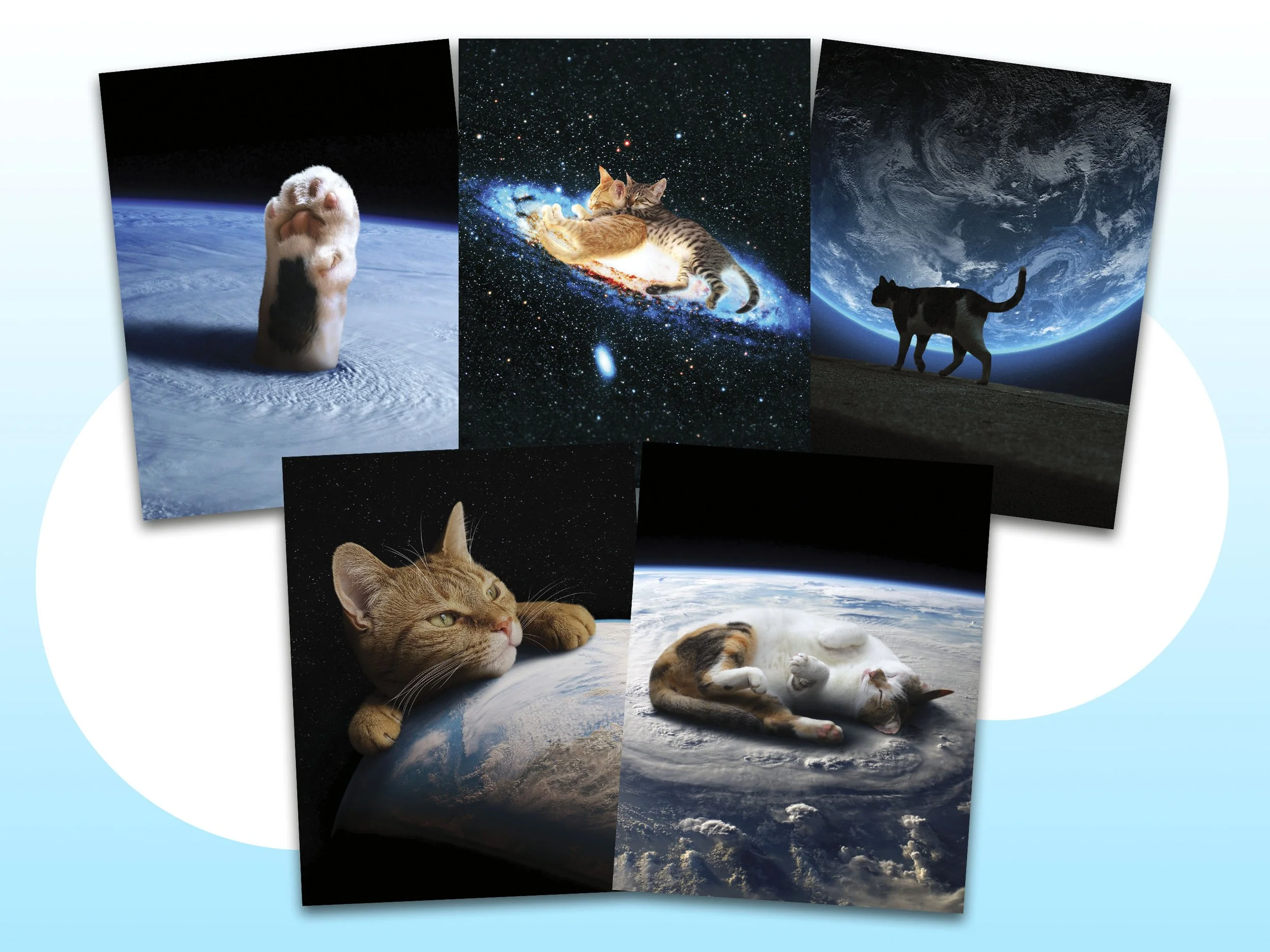 Cosmic Cats Listing_1.jpg