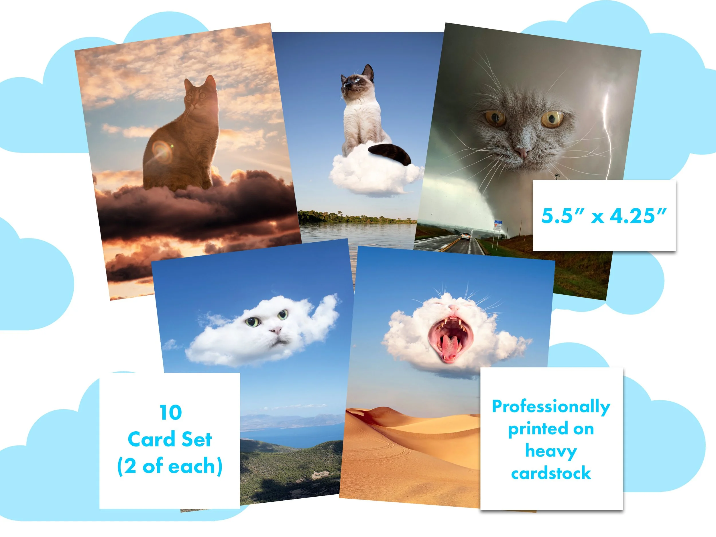 Cloud-Cats-Main-Listing-2.jpg