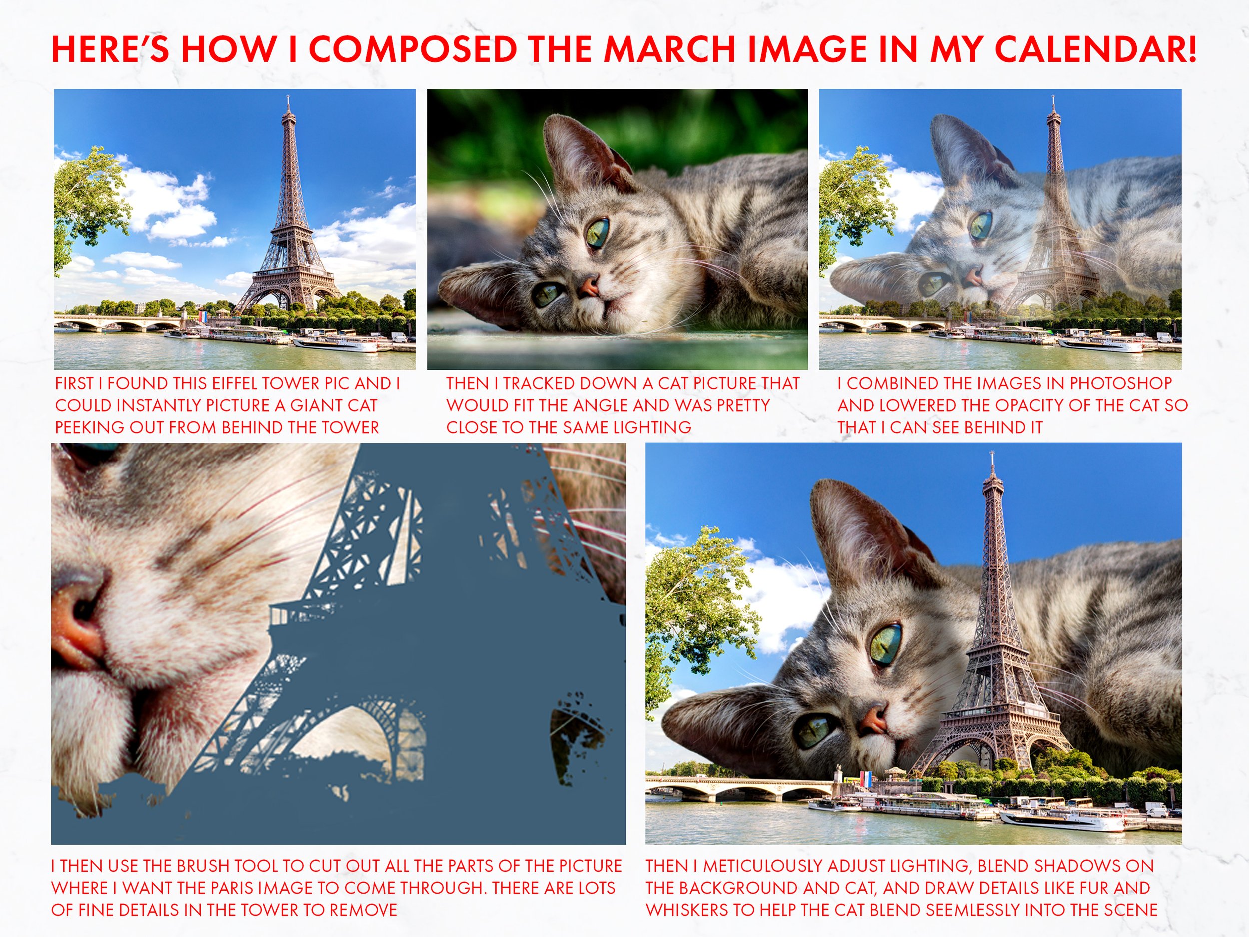 Lazy-Cats-2027-Listing_9.jpg