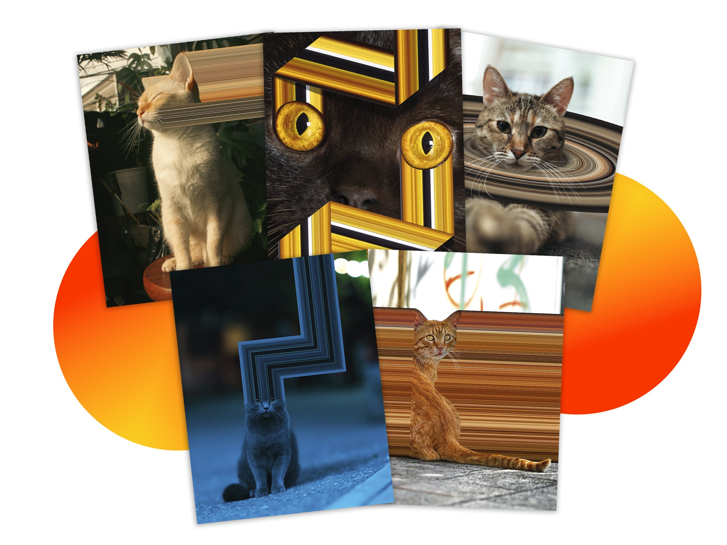 Warp Cats Postcards Listing WIP_0007_Main Listing.jpg