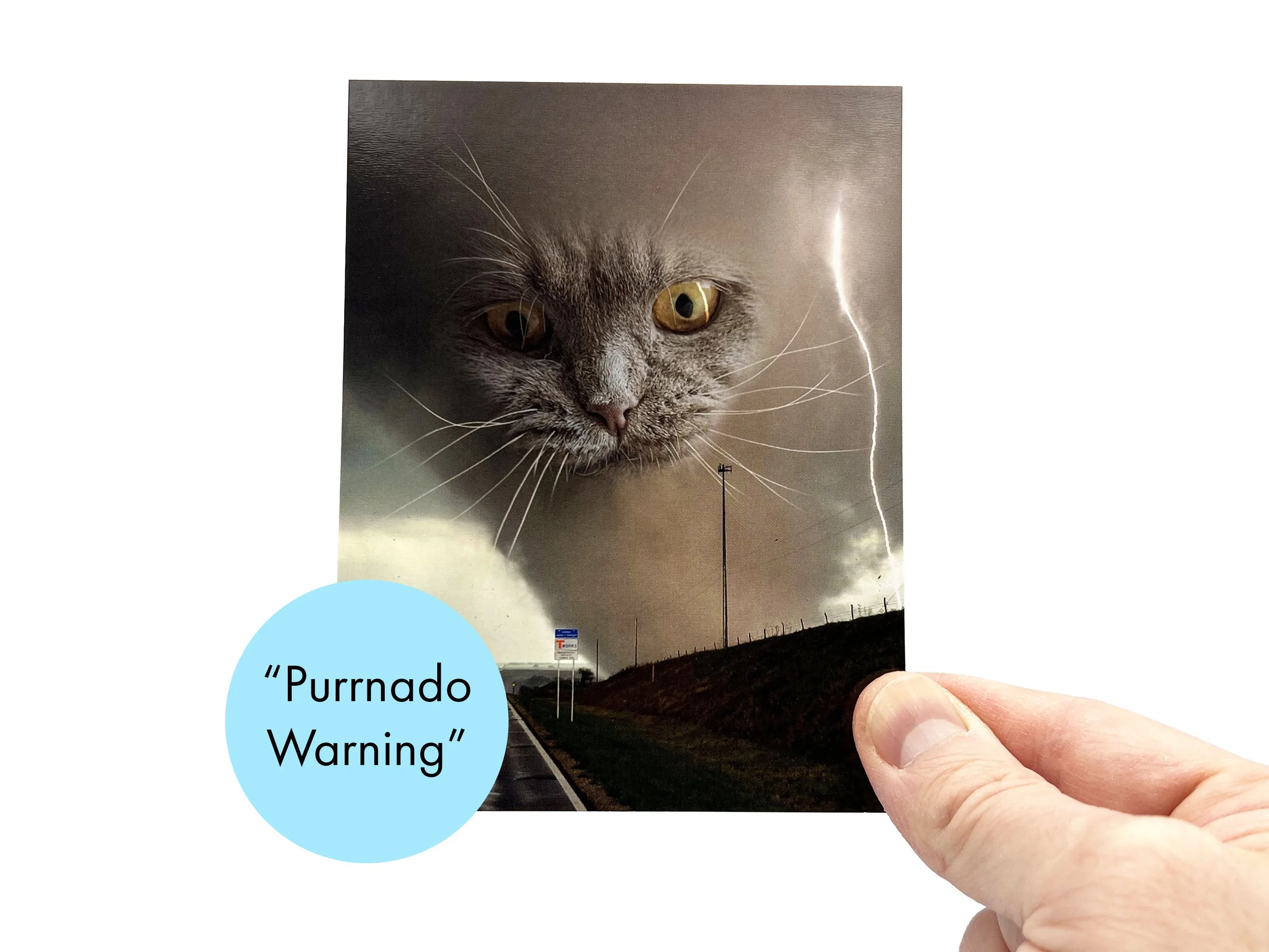 Cloud_Cats_Listing__0002_Tornado copy.jpg