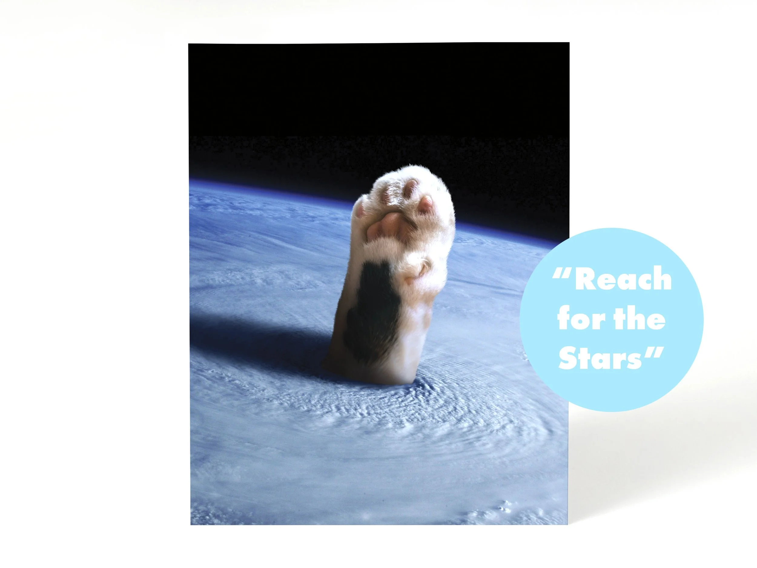 Cosmic Cats Listing_reach.jpg