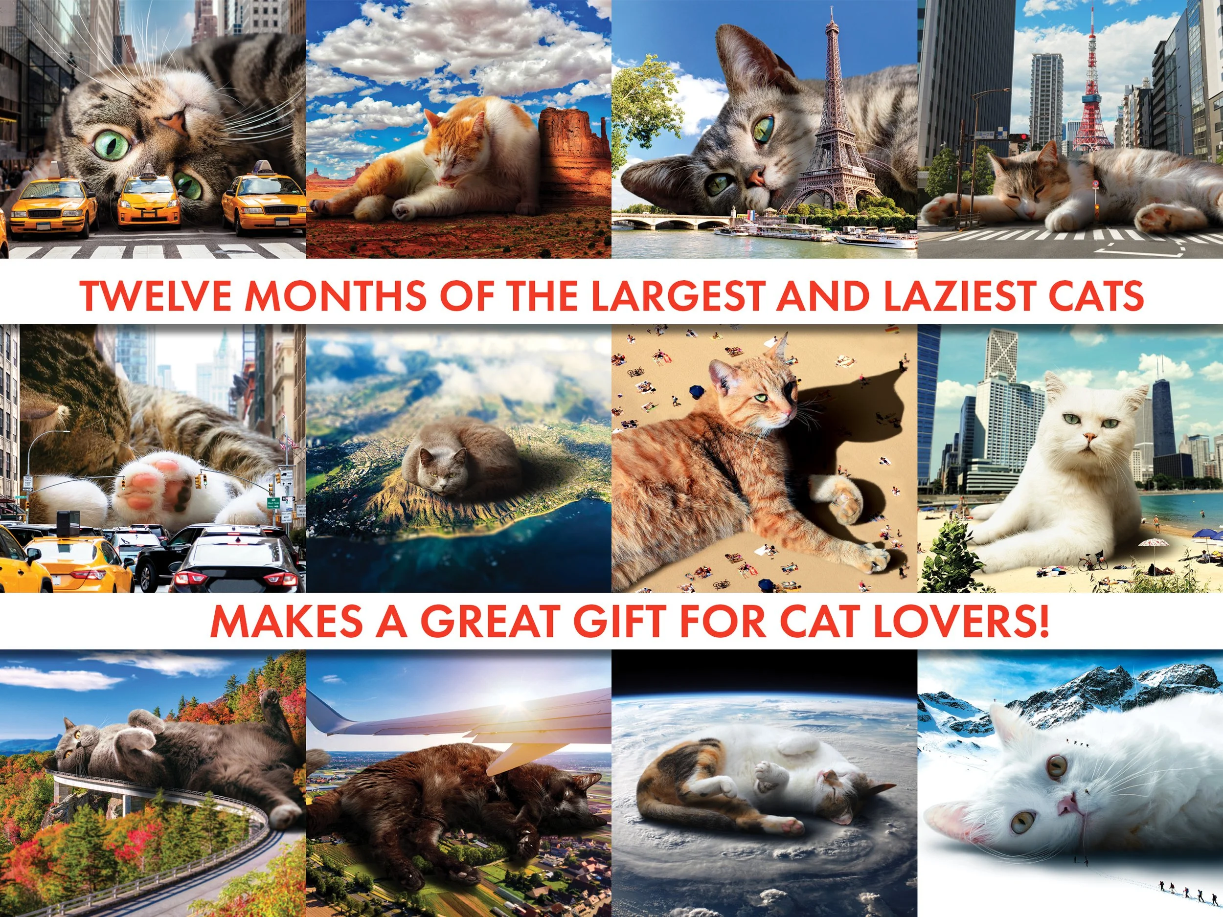 Lazy-Cats-2027-Listing_2.jpg (Copy)