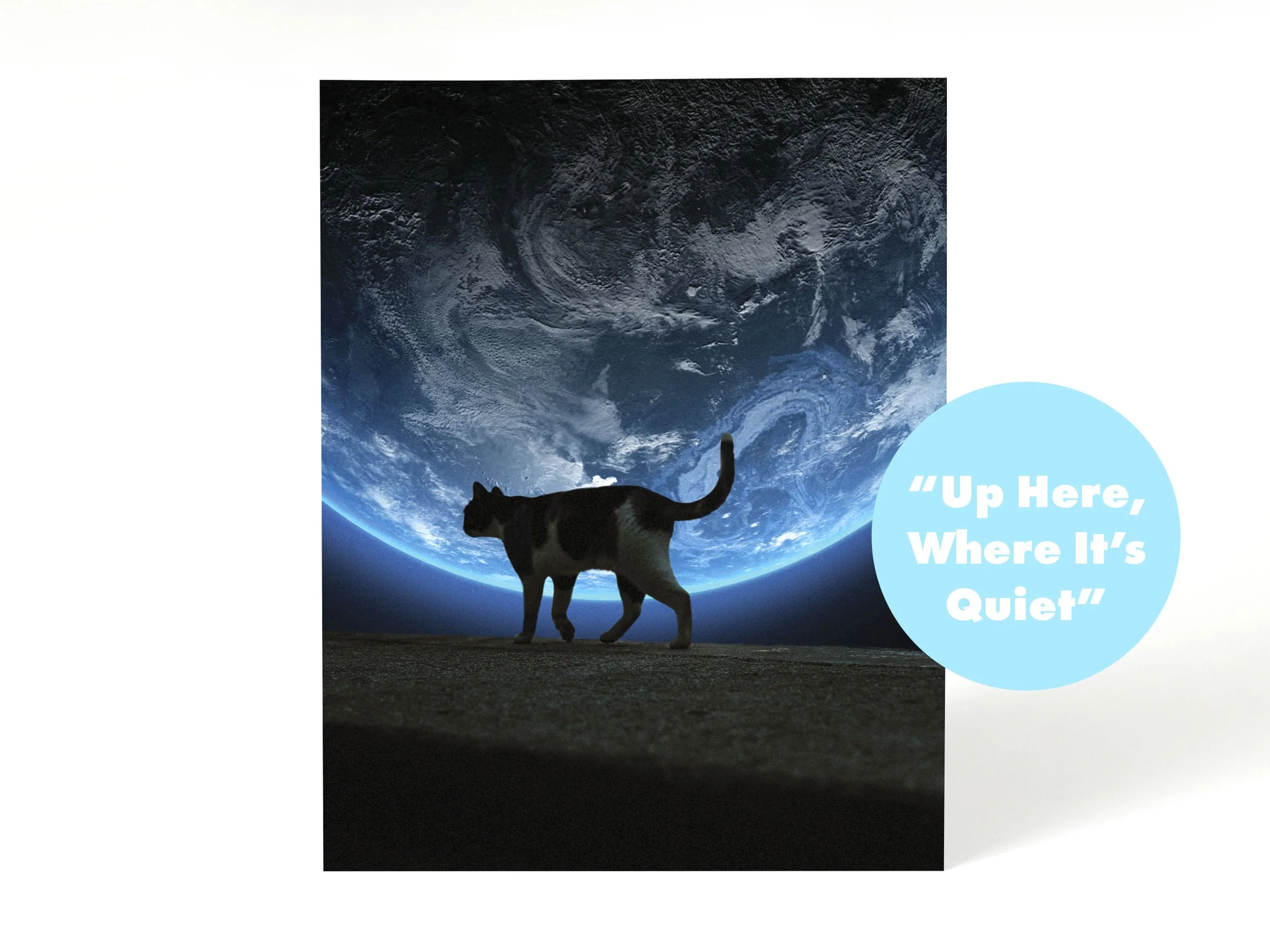 Cosmic Cats Listing_up.jpg