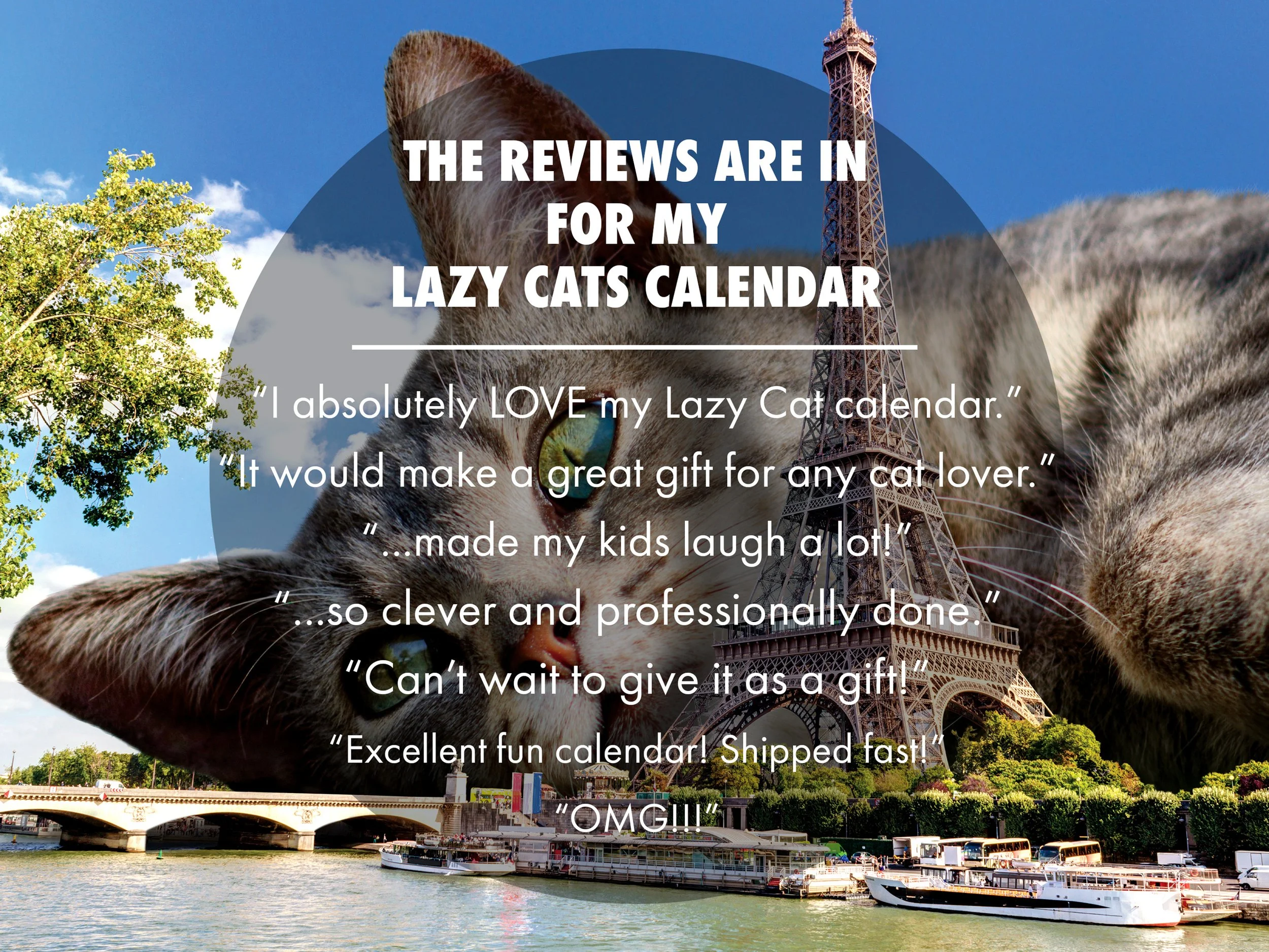 Lazy-Cats-2027-Listing_8.jpg (Copy)