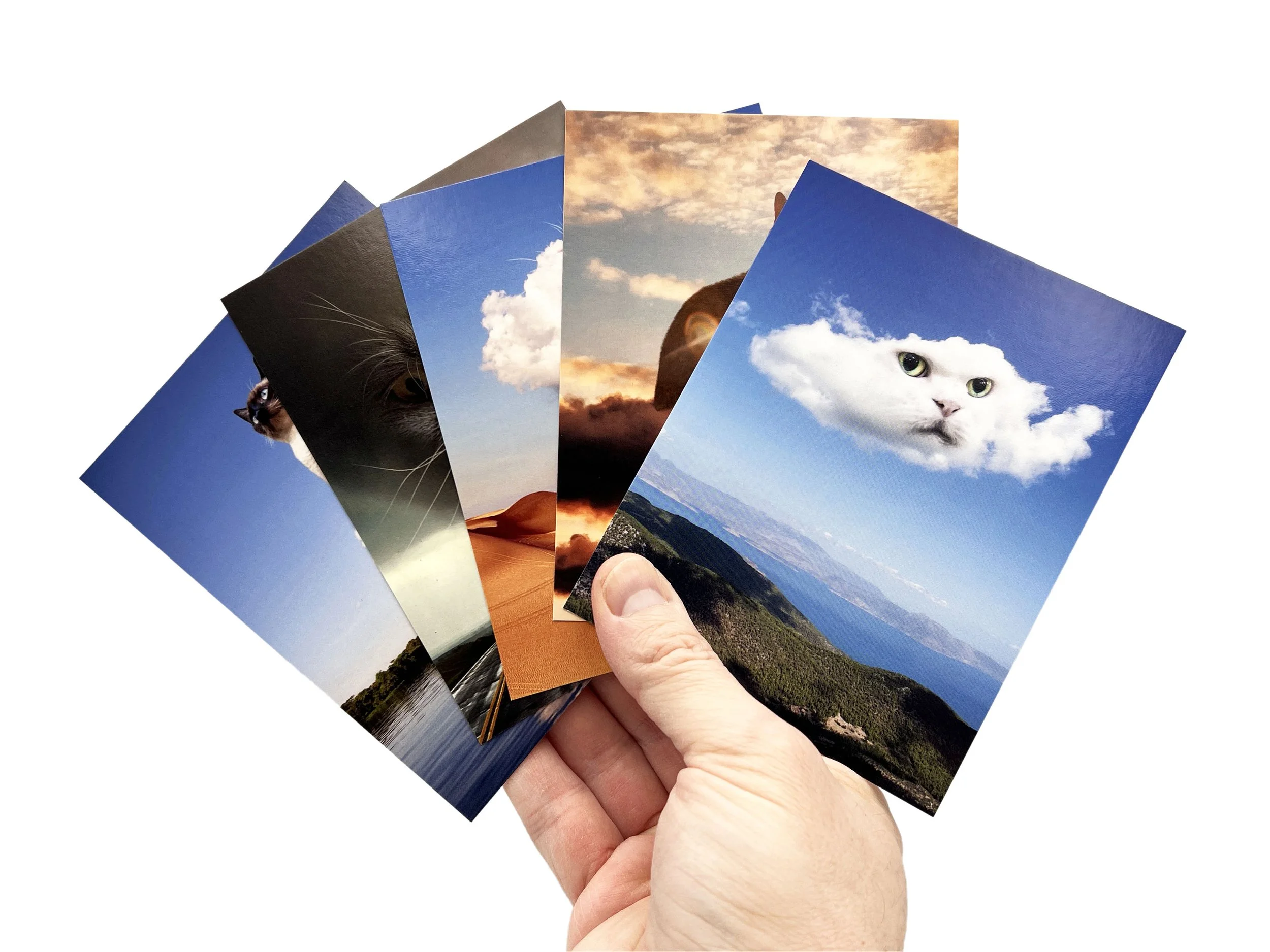 Cloud_Cats_Listing__0000_All the Cards copy.jpg