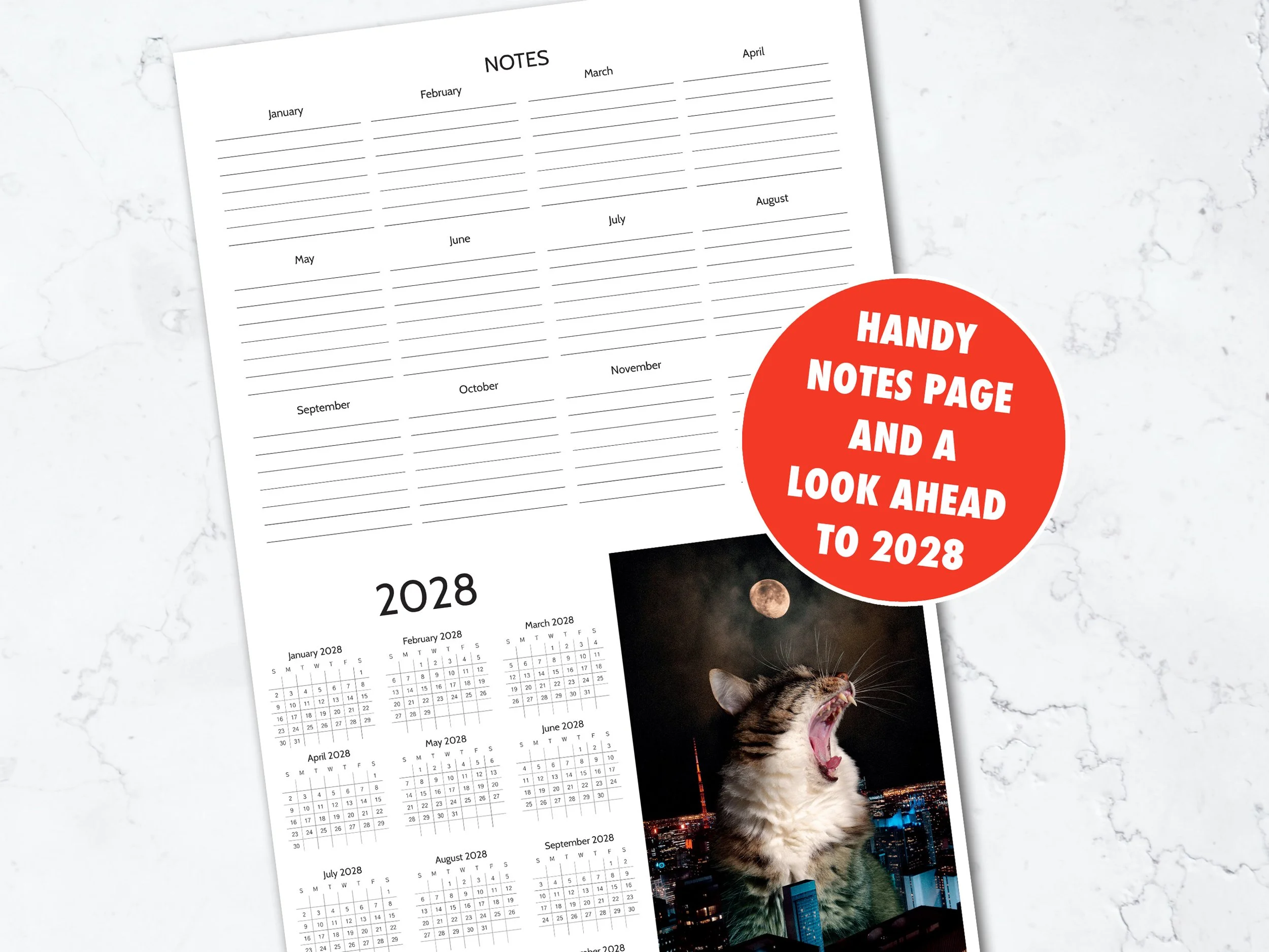 Lazy-Cats-2027-Listing_7.jpg (Copy)