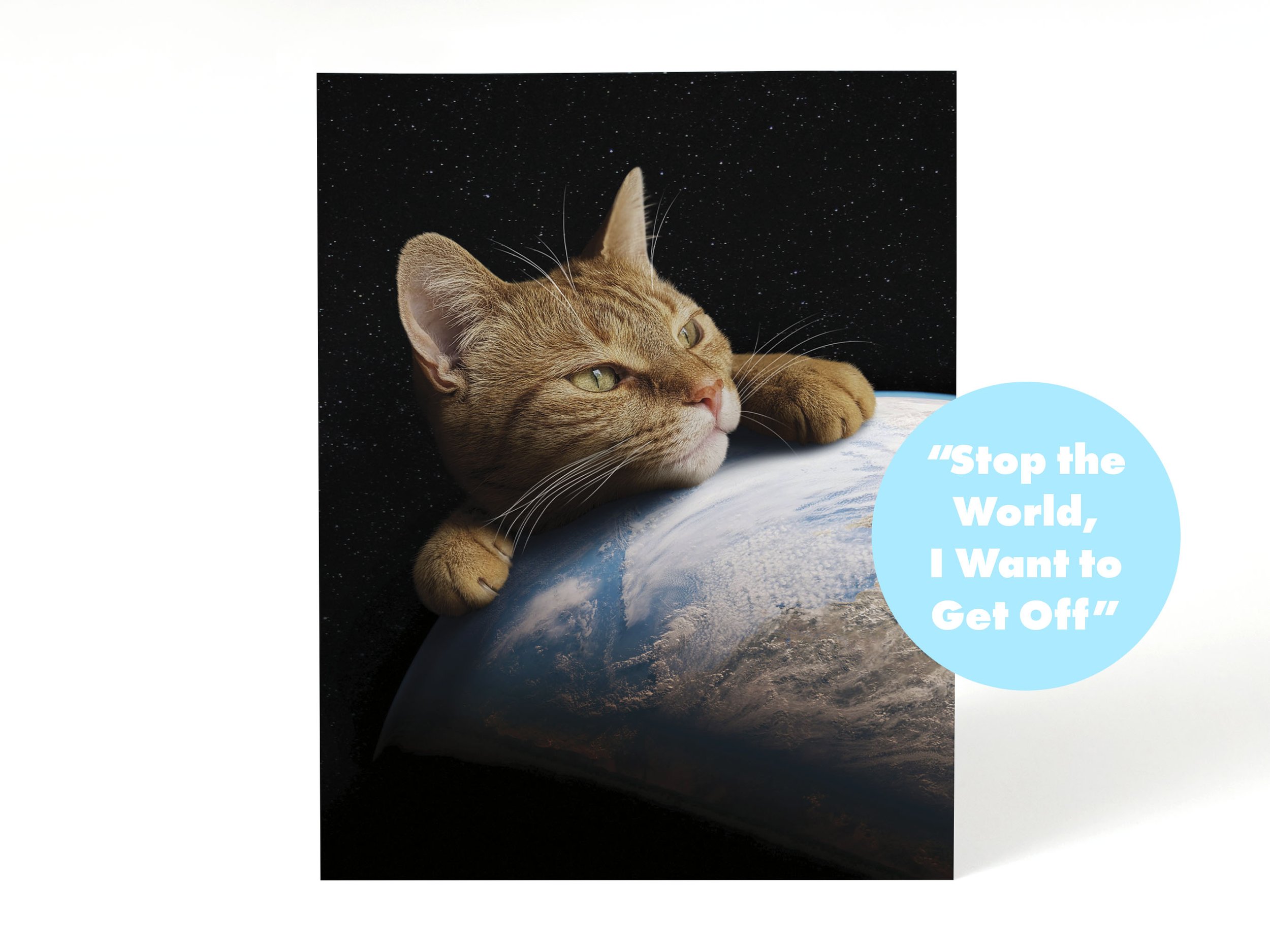 Cosmic Cats Listing_stop.jpg
