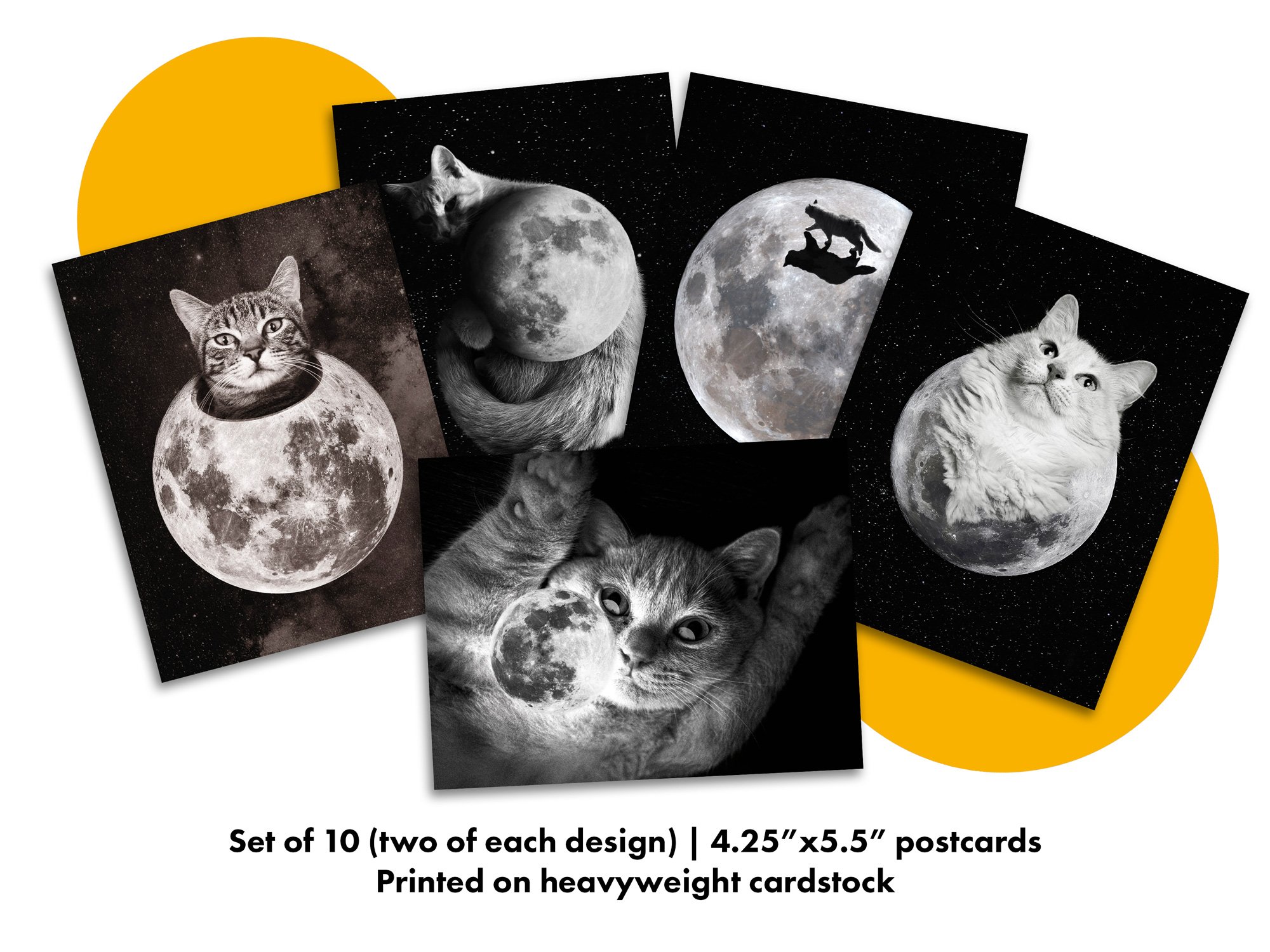 Full_Moon_Postcard_Listing_2.jpg