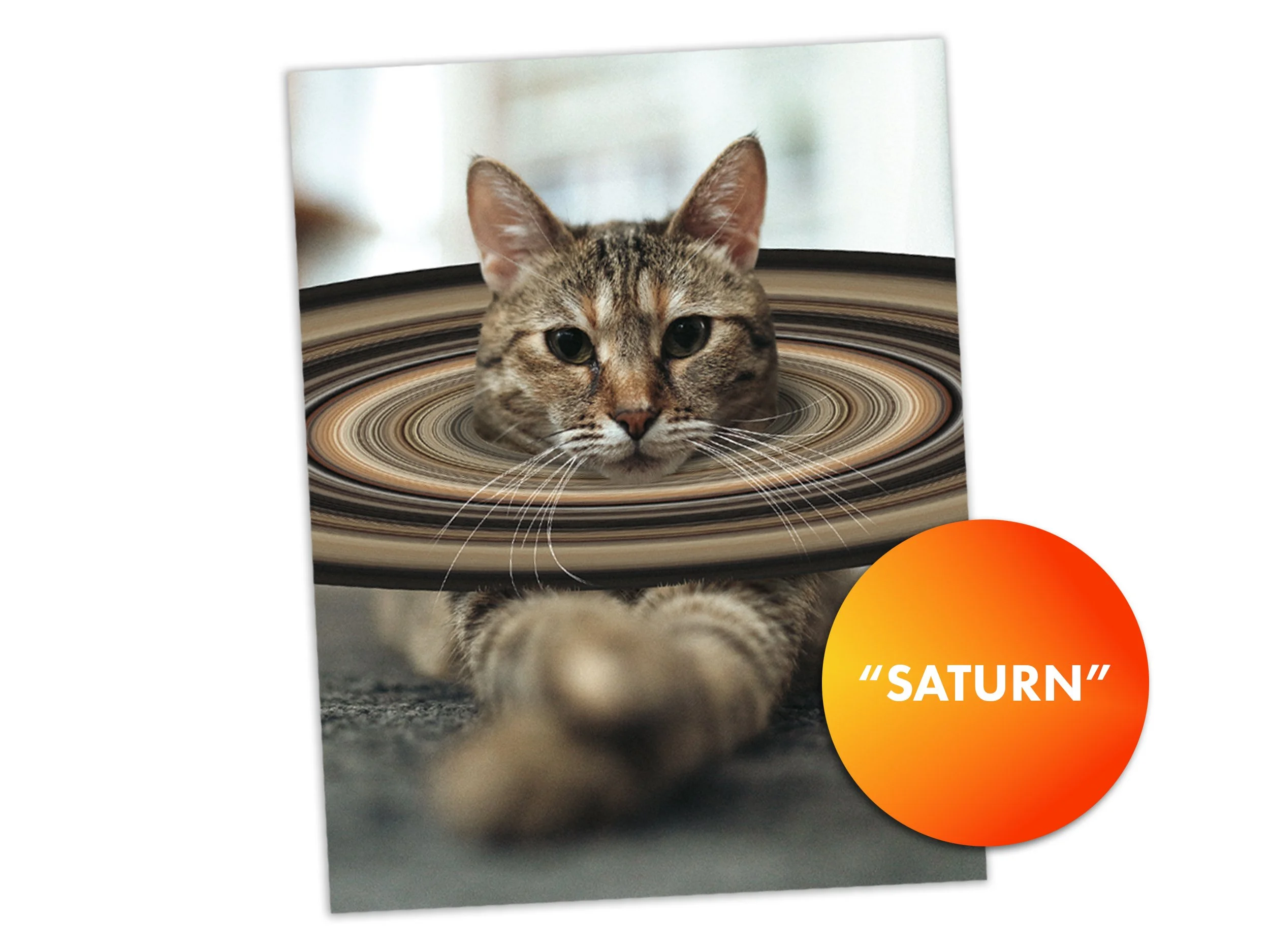 Warp Cats Postcards Listing WIP_0000_SATURN.jpg