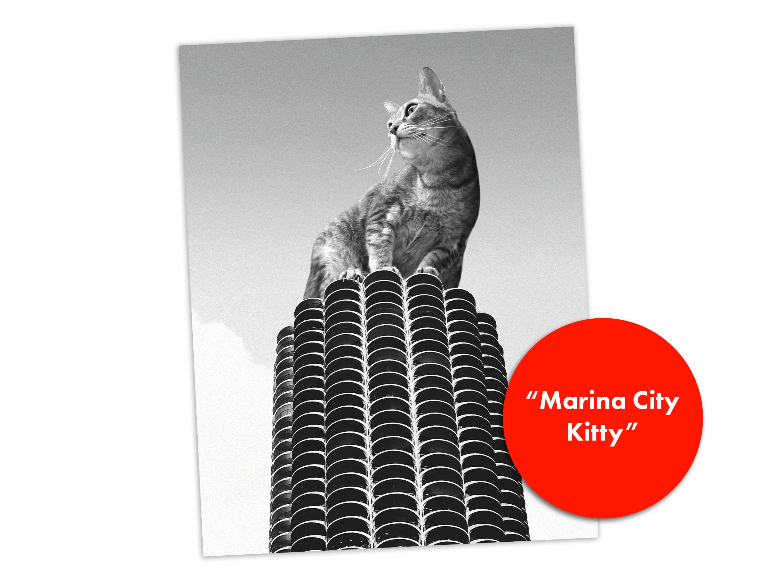 Marina City Kitty - Black and white image of a giant cat atop Marina City in Chicago by MrMattMcCarthy