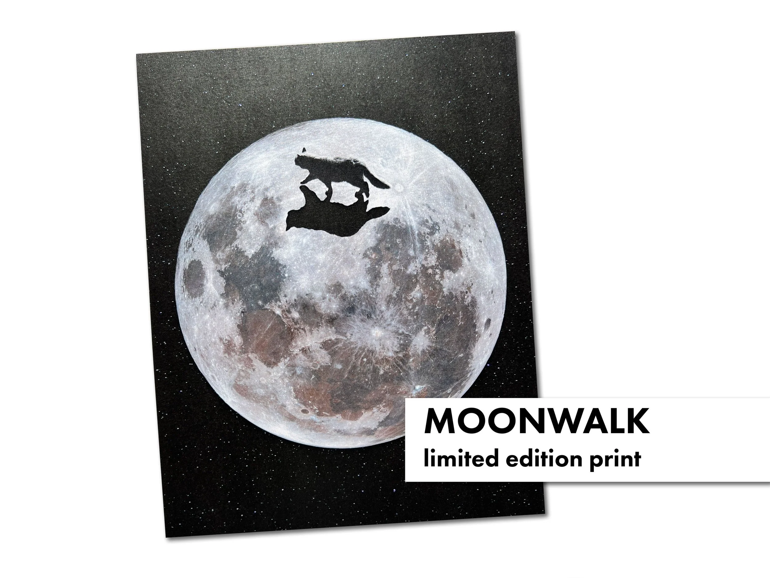 Moonwalk_LE_Listing_1.jpg