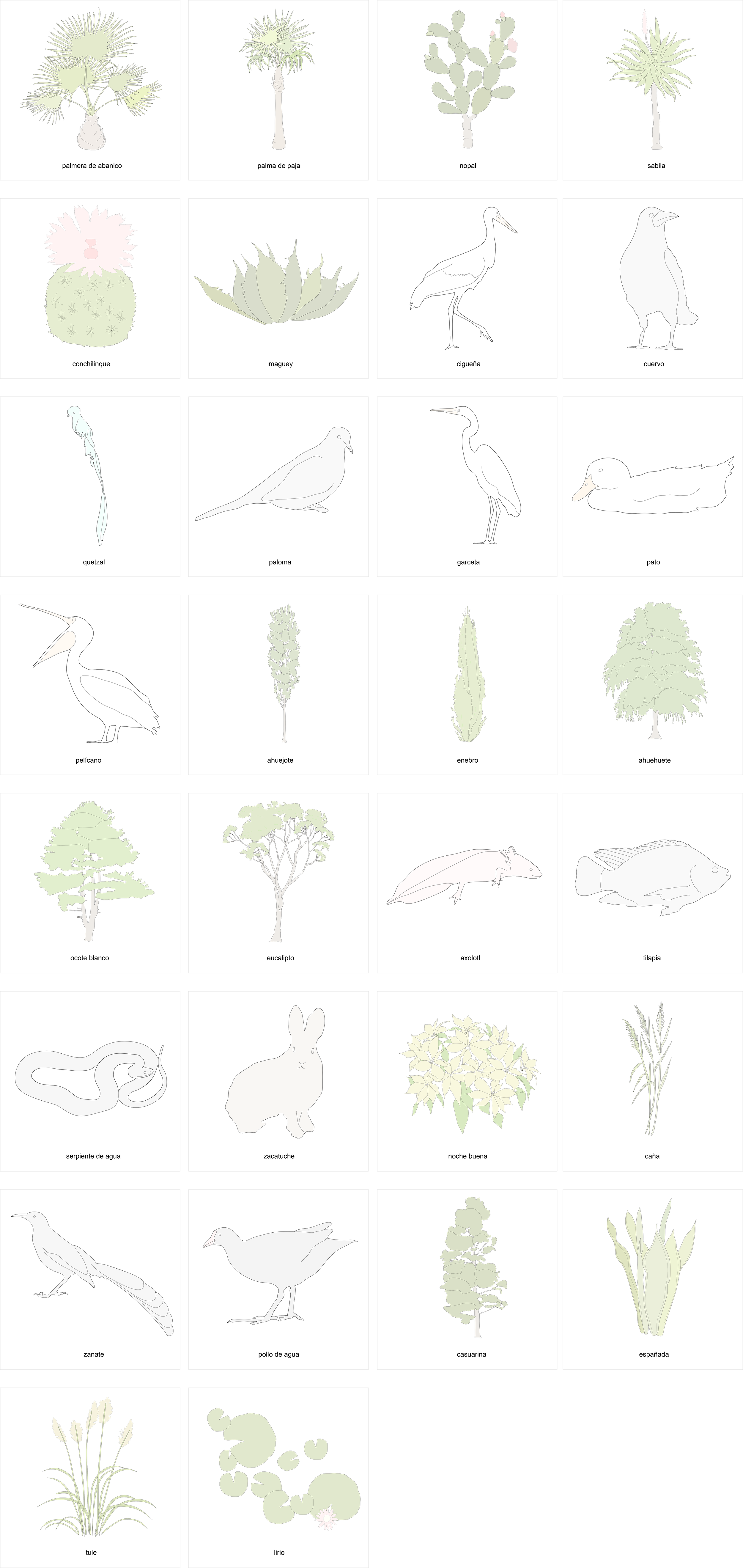 PLANT BIOS 42x88.png