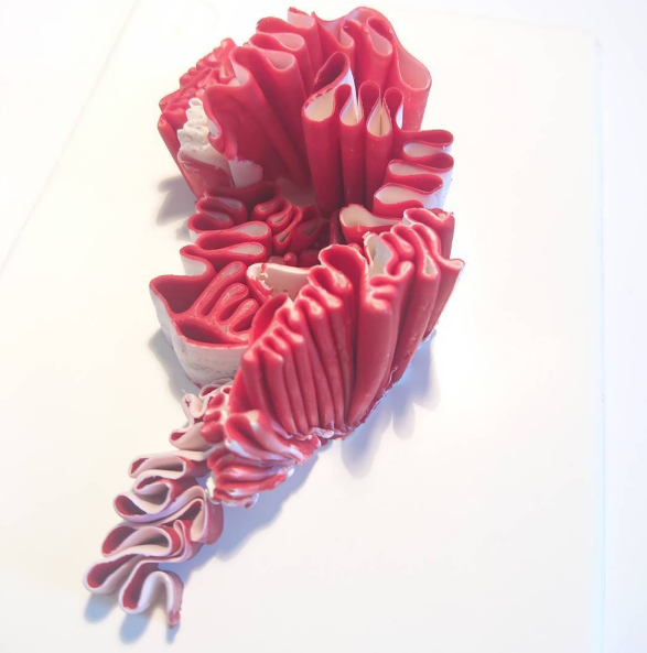 Kate Linforth 'Specimens' 'Host'