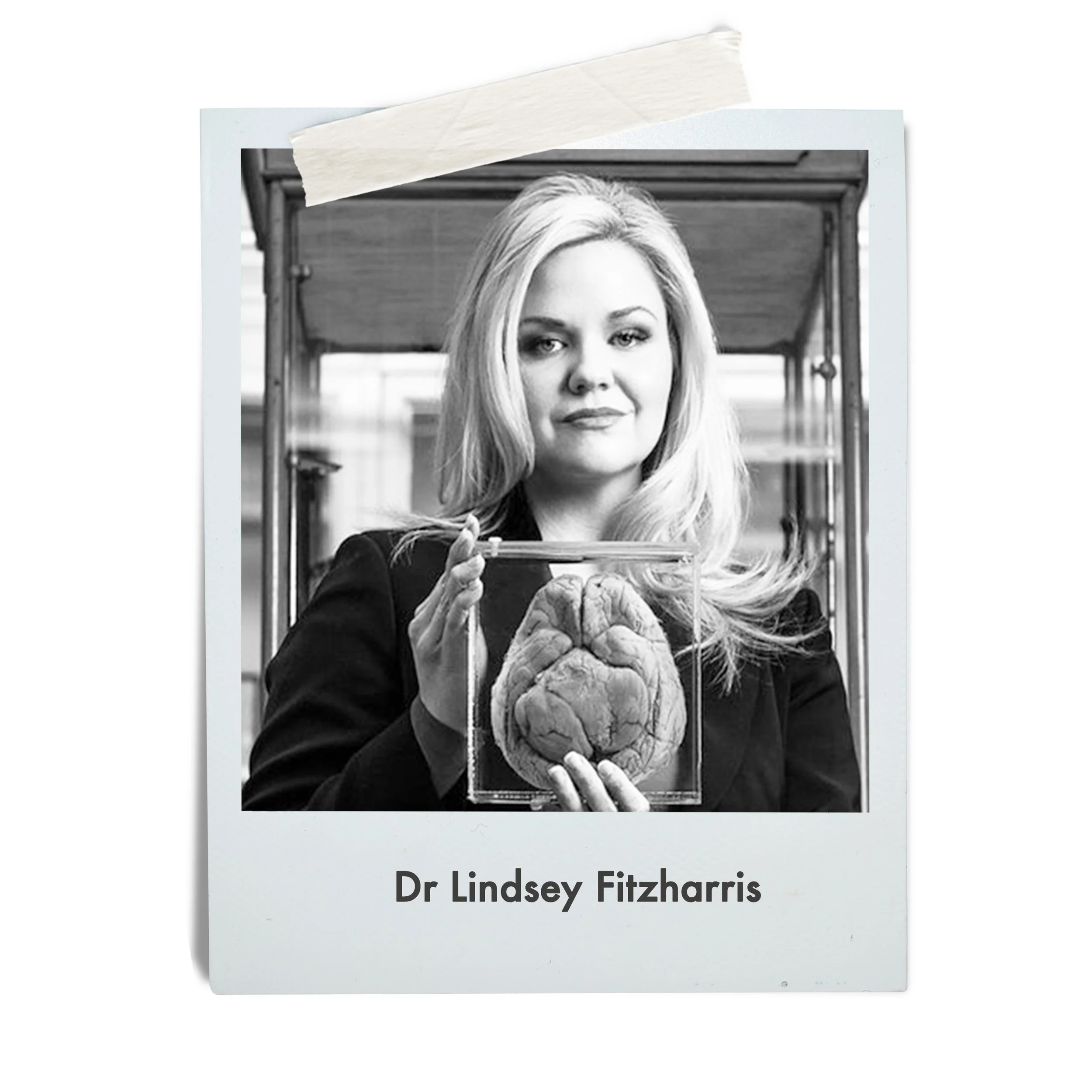 Five Things I wish people knew when deciding to euthanize a pet by Dr Lindsey Fitzharris.