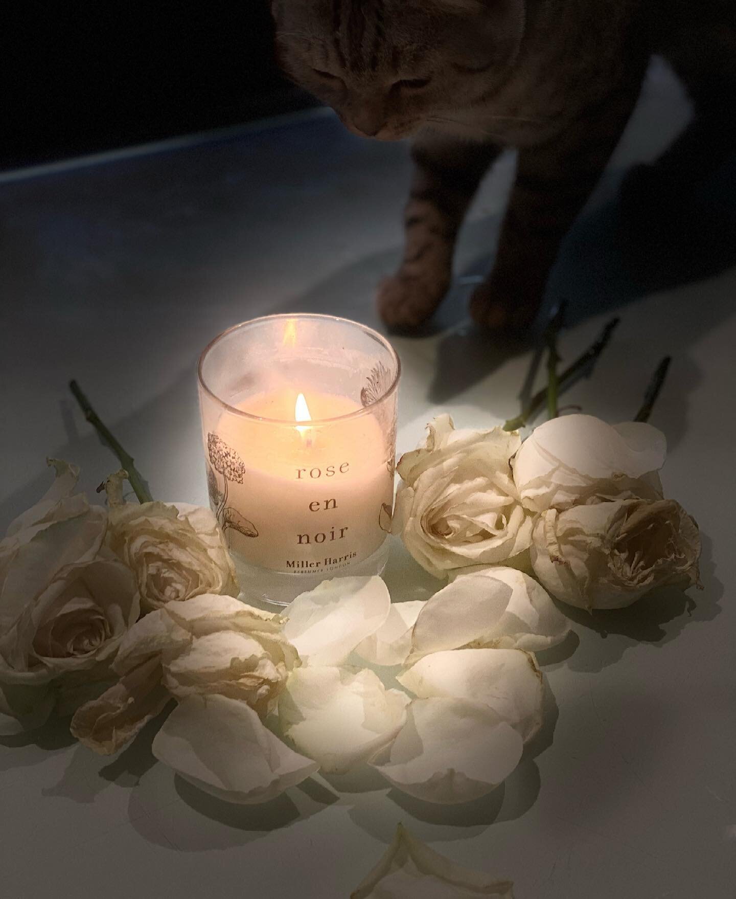 There is so much work to be done, but for tonight, we wanted to light a candle for Sarah Everard and for every other person who has experienced male violence.
#saraheverard #candleforsaraheverard #violenceagainstwomen #maleviolenceagainstwomen #shewa