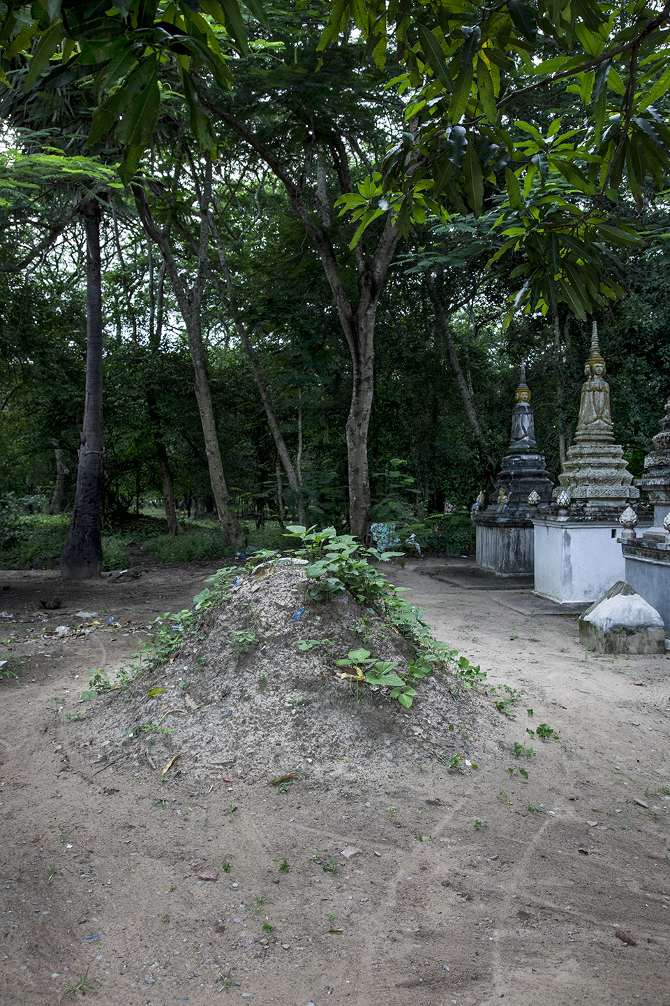 foundation for a stupa, Siem Reap, Cambodia