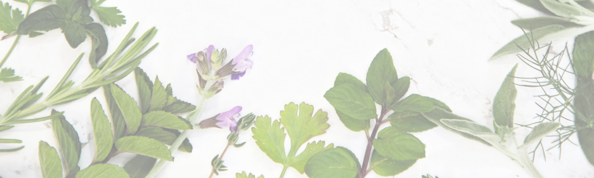 Herbalist (3).png