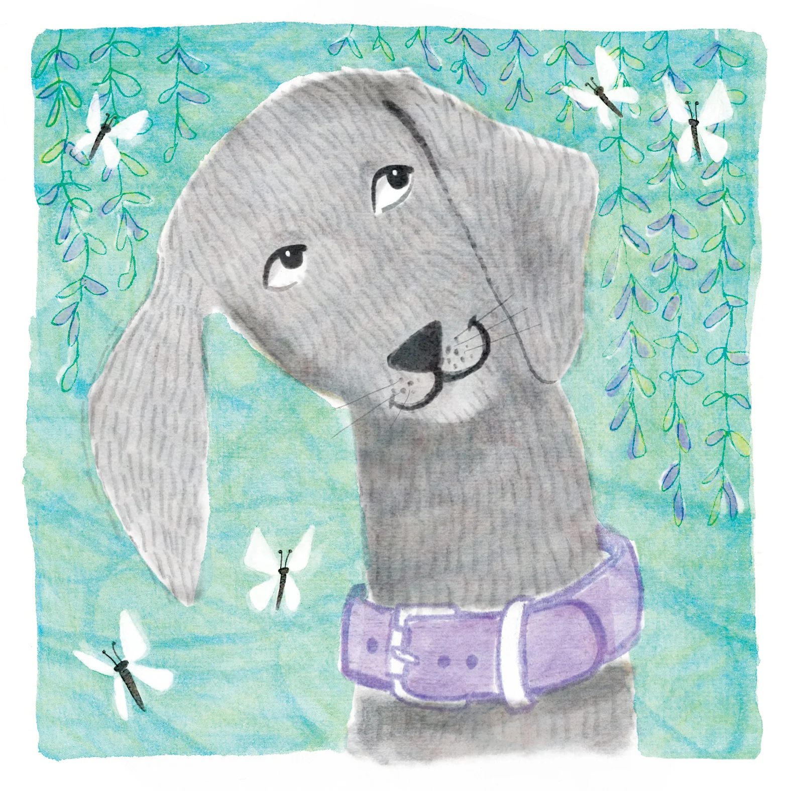 WEIMARANER WITH WHITE BUTTERFLIES