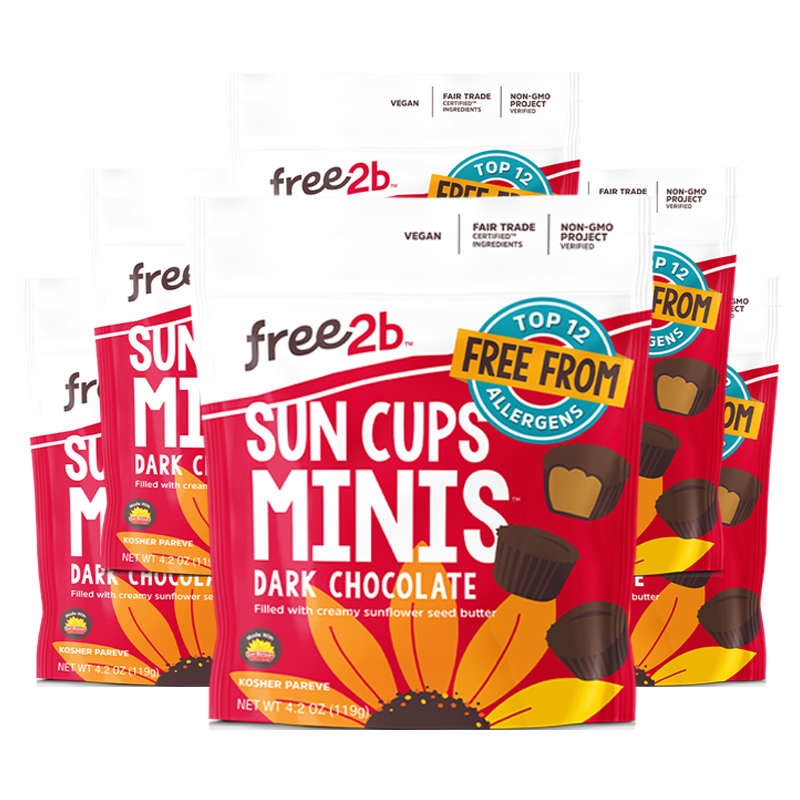 allergy free christmas chocolate