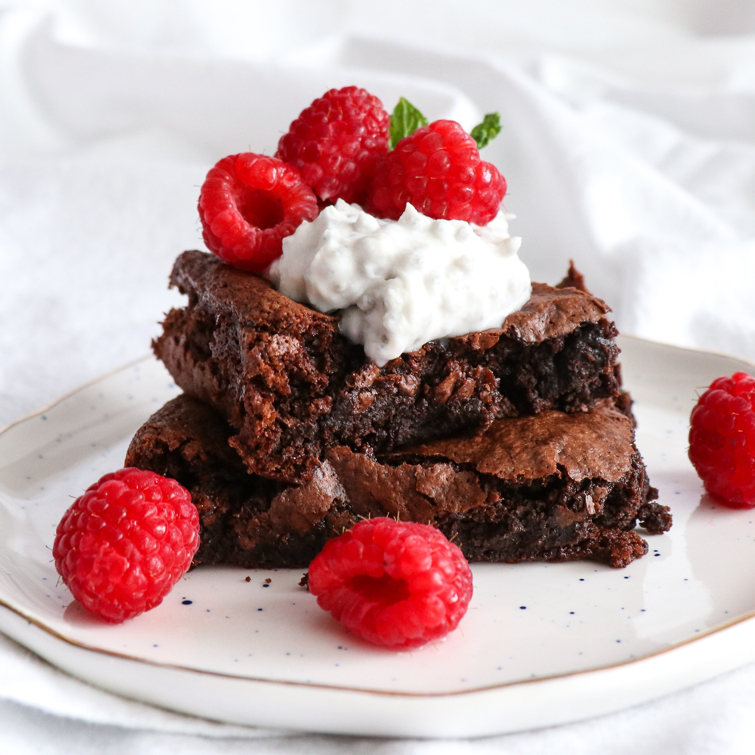 chewy vegan brownie 1 cropped.jpg