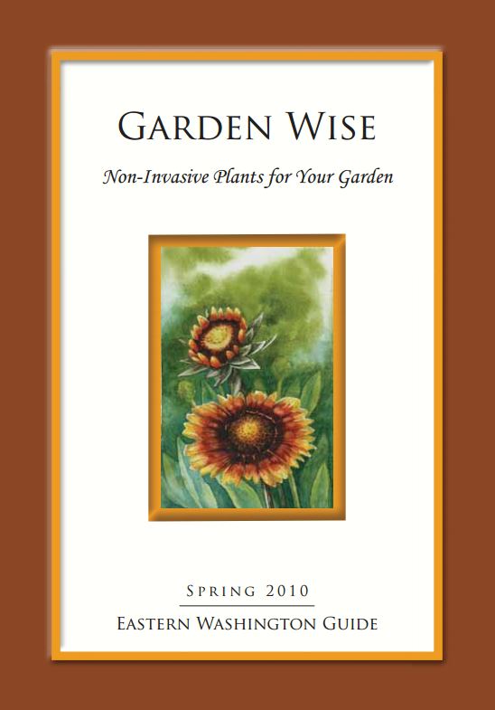 PDF version of our popular new booklet which offers several non-invasive alternatives for 14 invasive ornamental and noxious weed. This book includes 26 additional plant recommendations for Eastern Washington gardens. Eighteen pages, 8" x 11".. Eastern Washington Version. It was produced by WA Noxious Weed Control Board in collaboration with the Washington Invasive Species Coalition and the Washington State Nursery and Landscape Association.