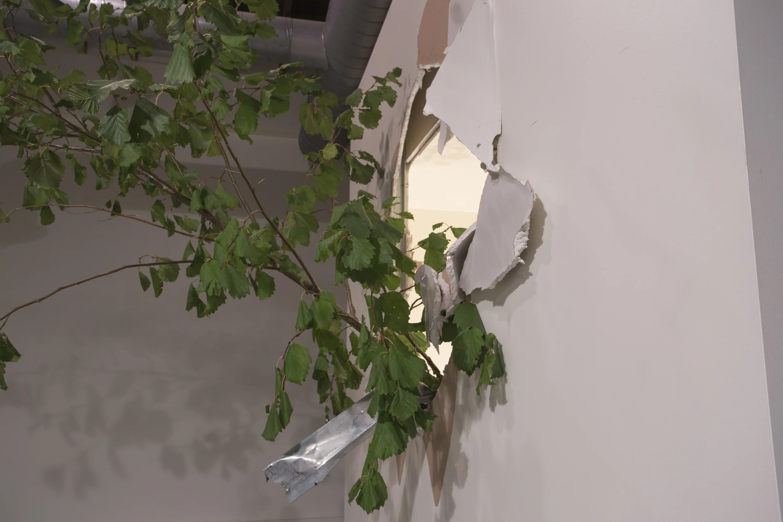 Second Growth (detail).jpg