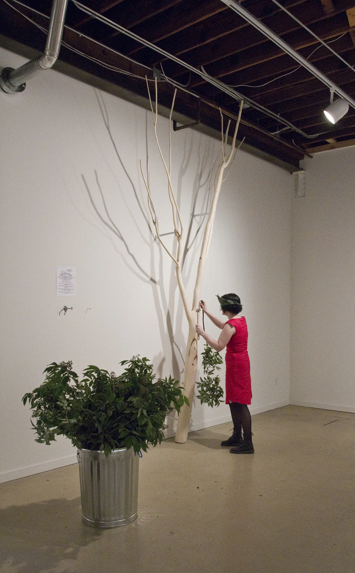 treemaster.jpg