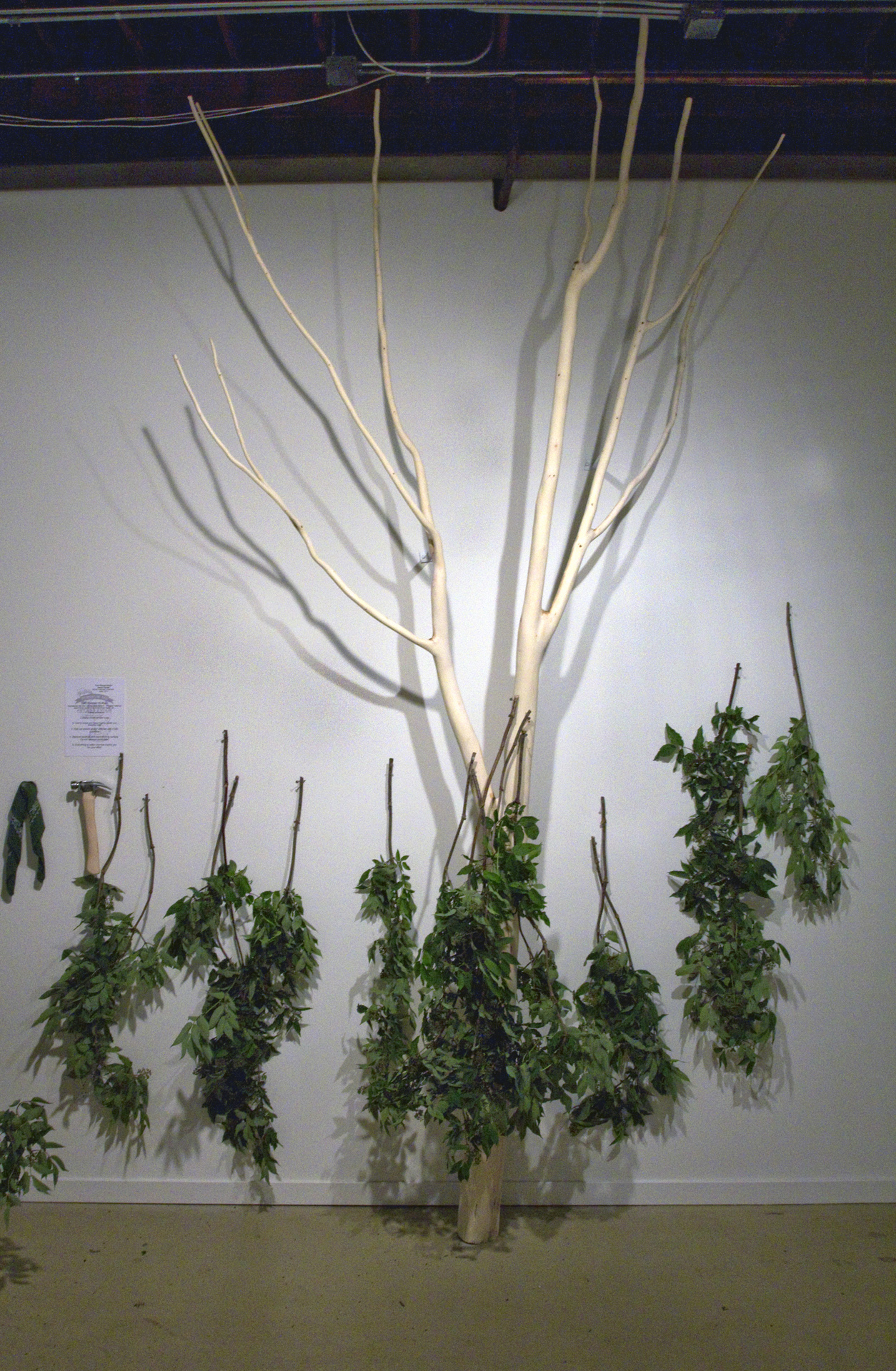 Treemasterafter.jpg