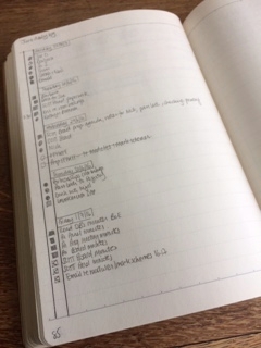 My daily log for a week in June 2016
