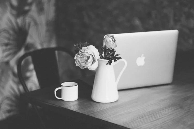 el-alce-web-378482-unsplash.jpg