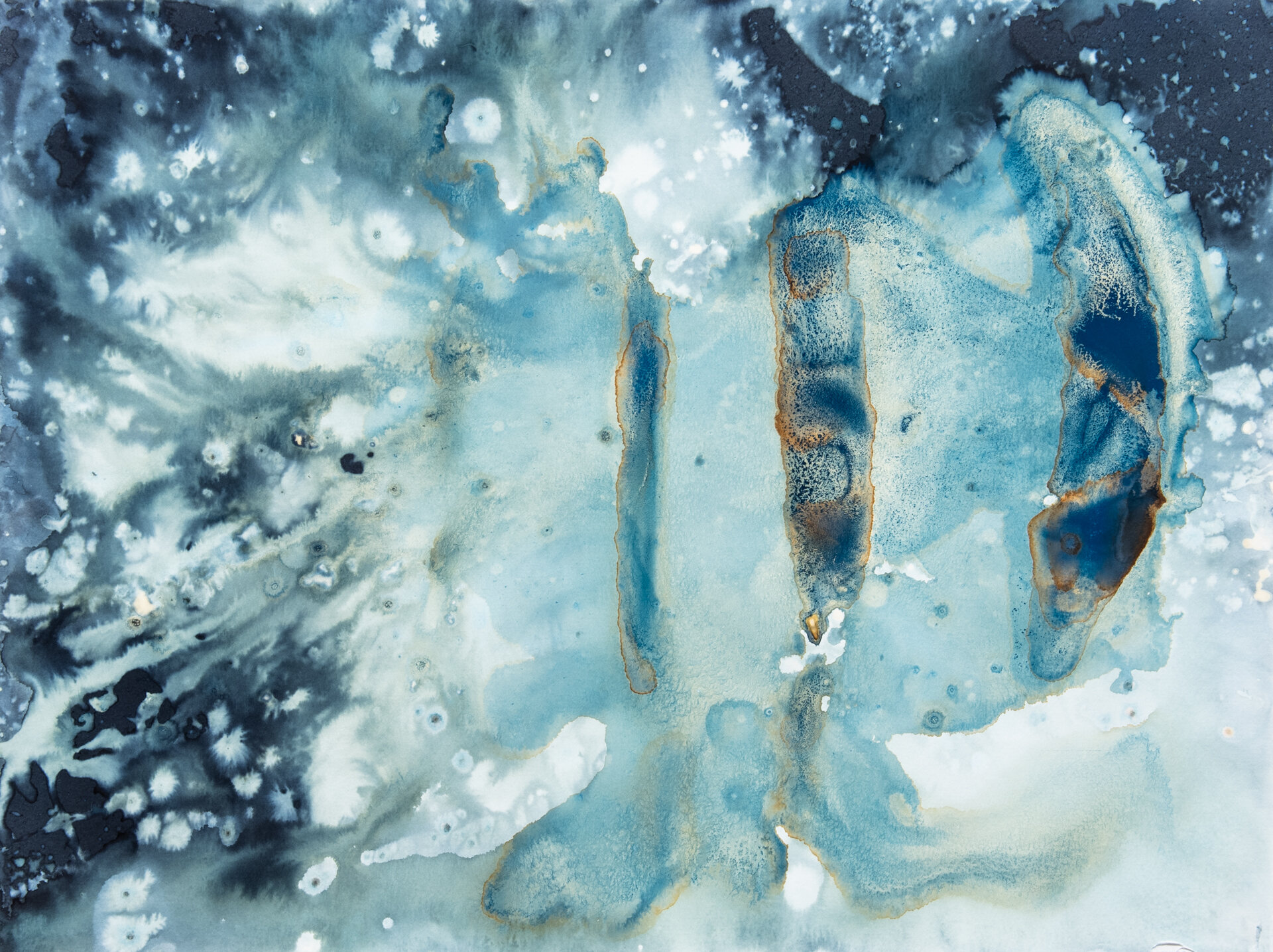 Cyanotype-1.jpg