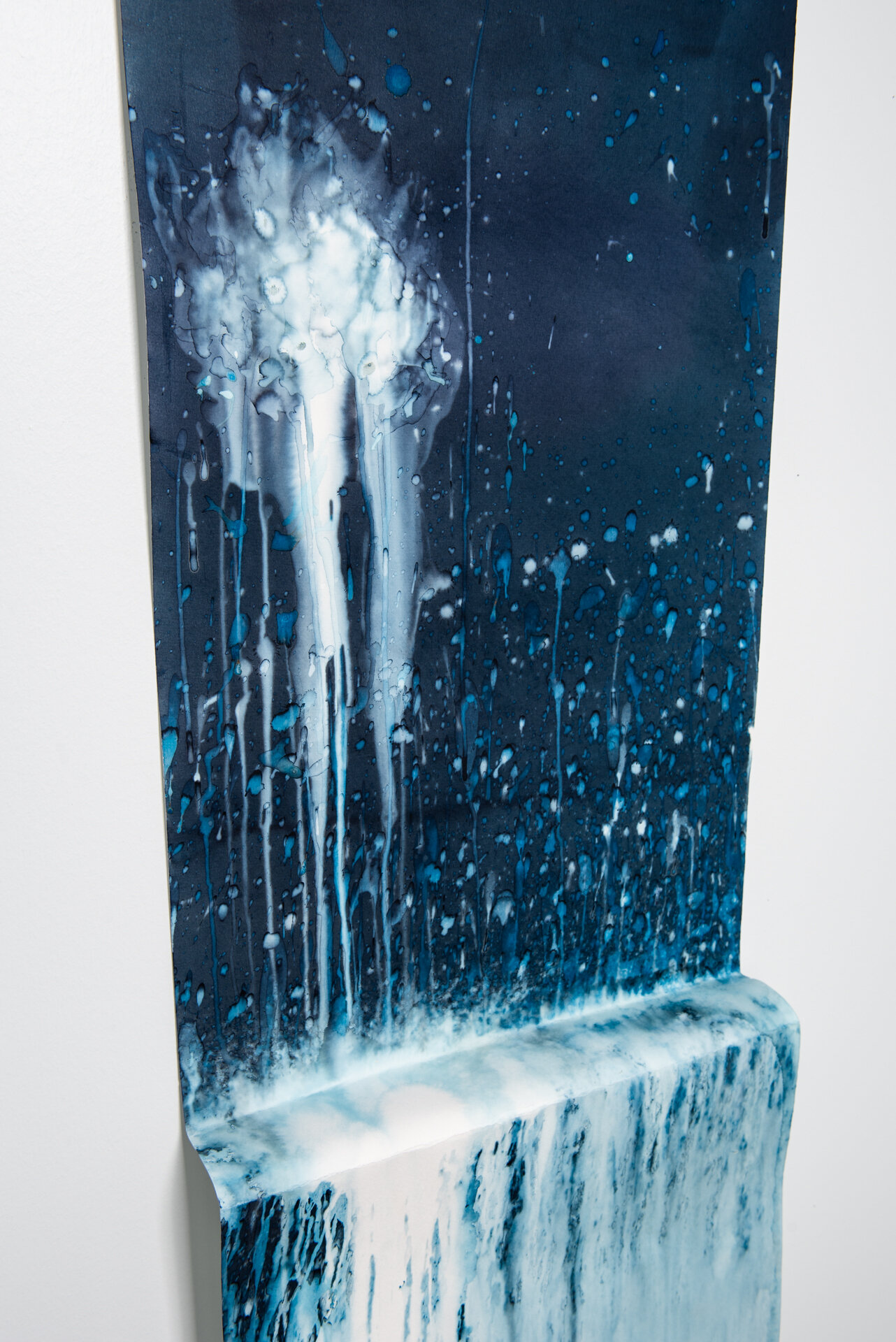 Cyanotype-3.jpg