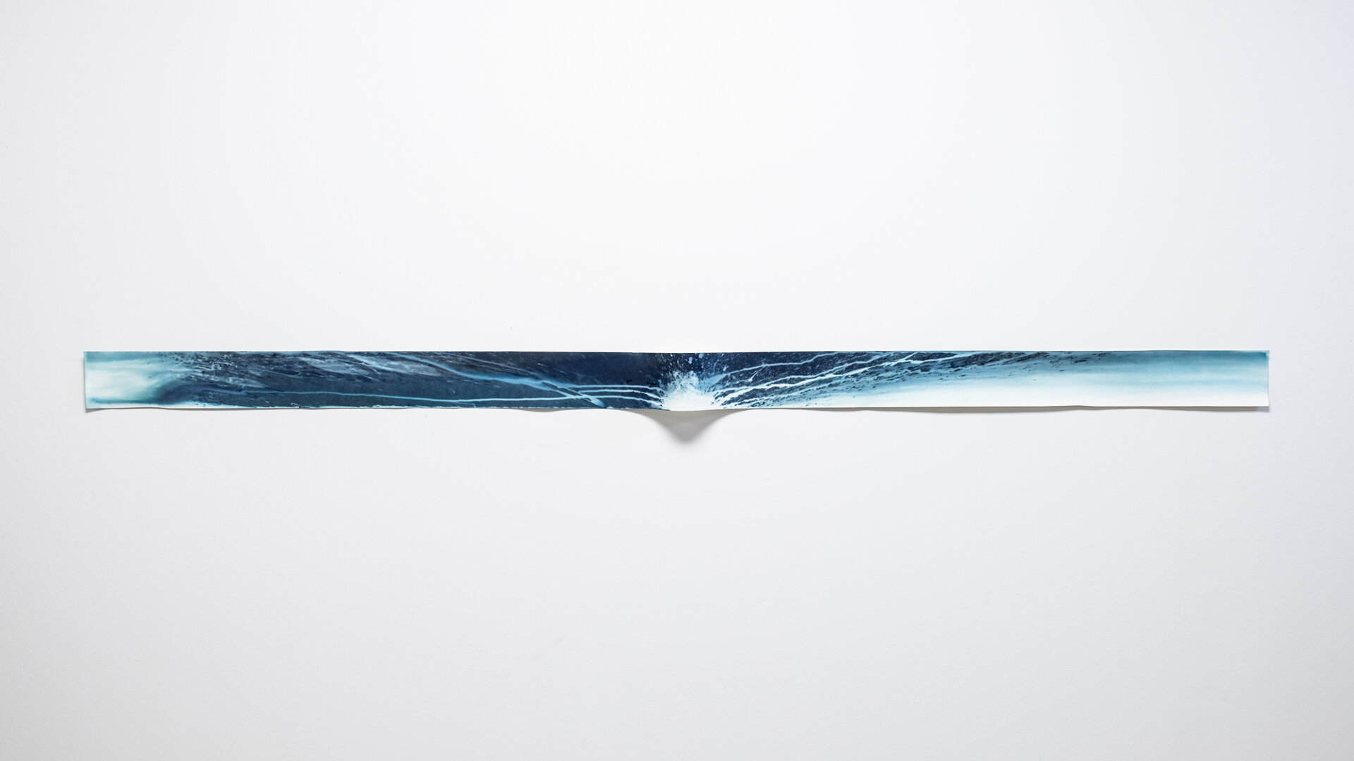 Cyanotype-5.jpg