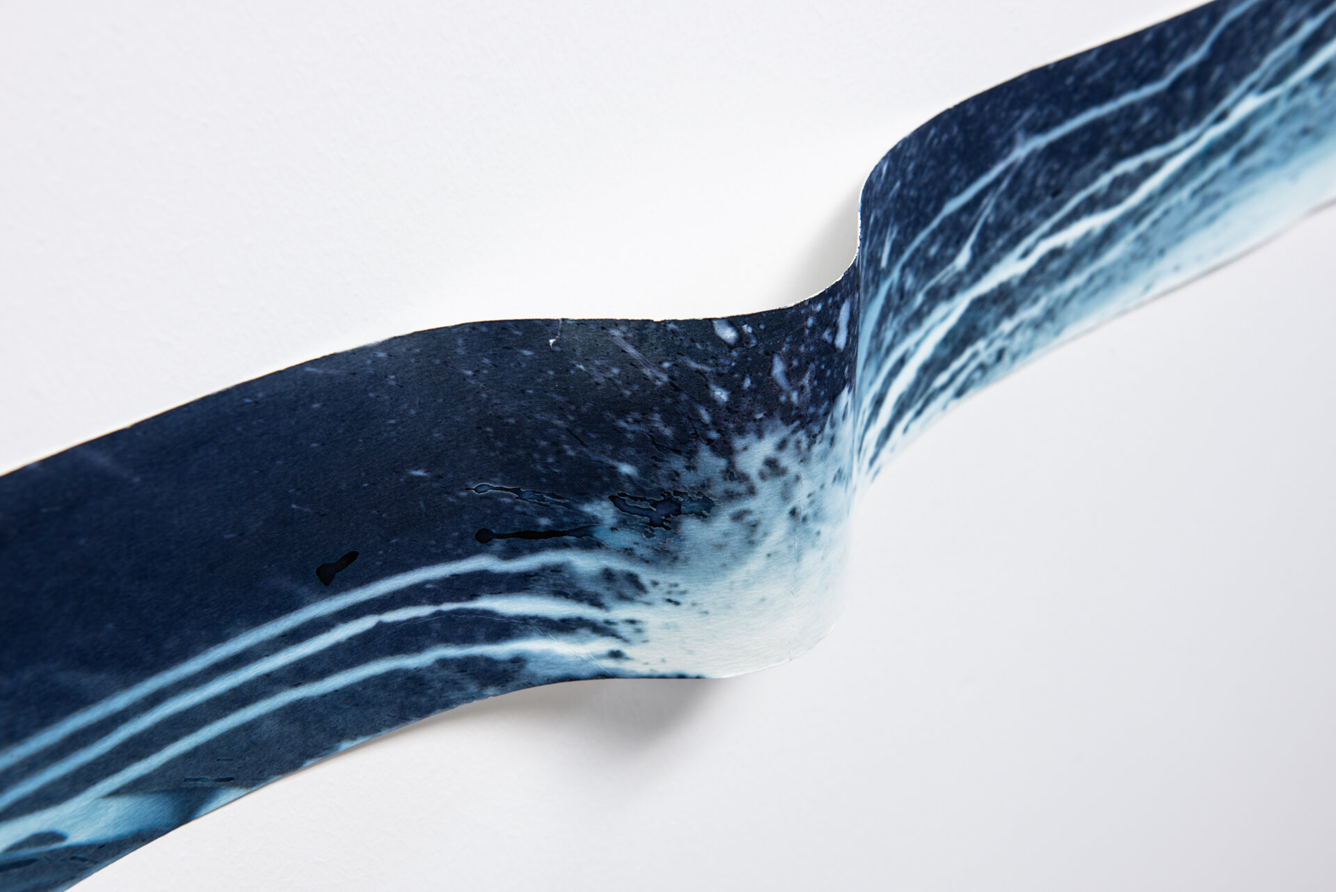 Cyanotype-6.jpg