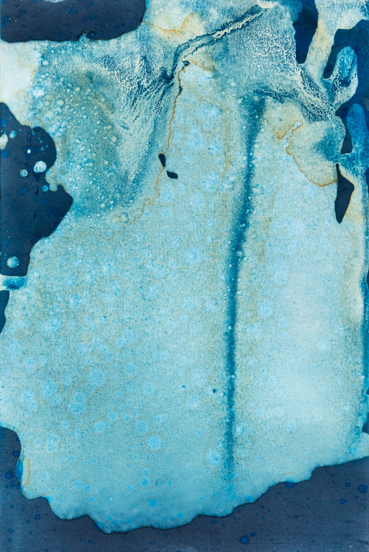 Cyanotype-4.jpg