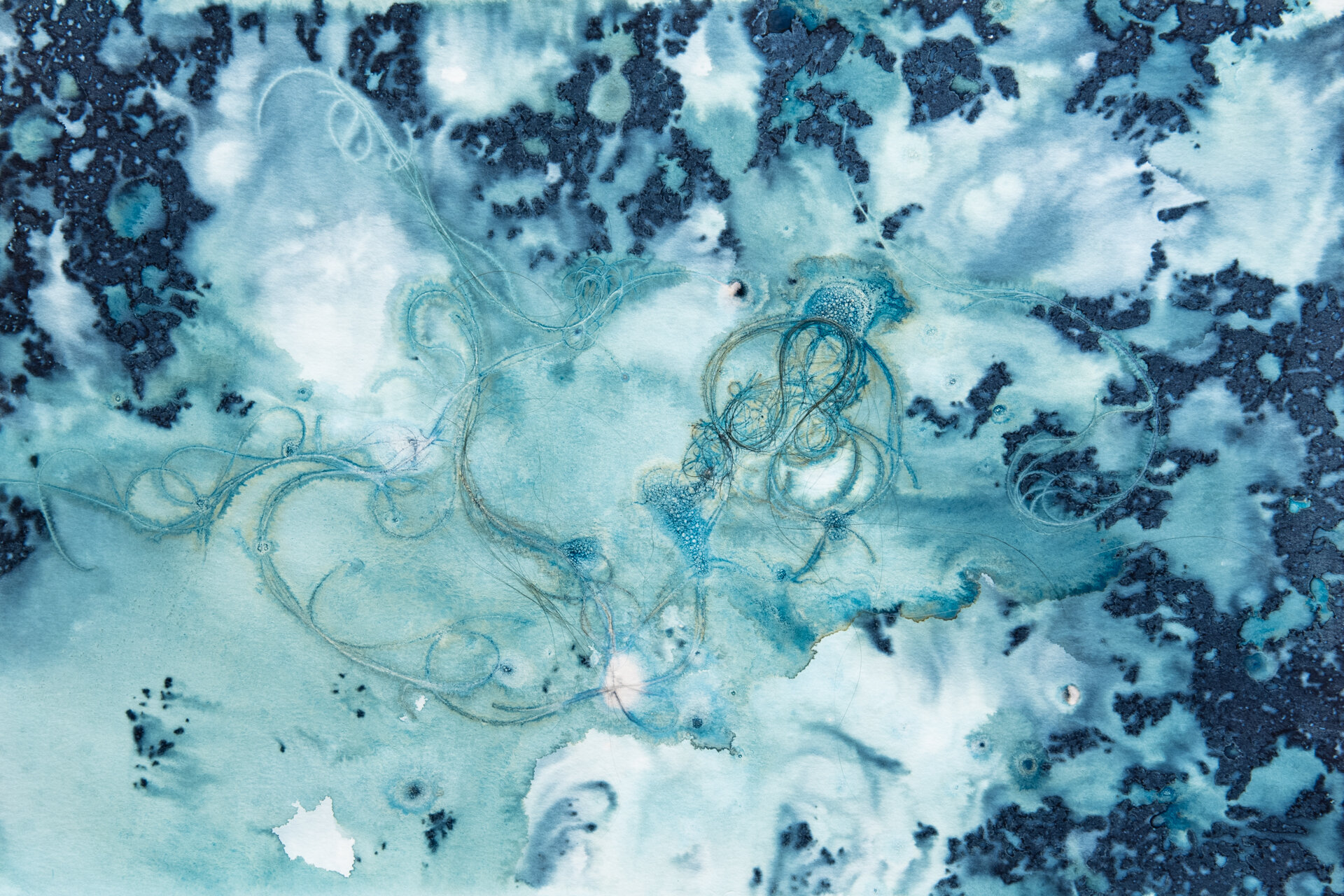 Cyanotype-7.jpg